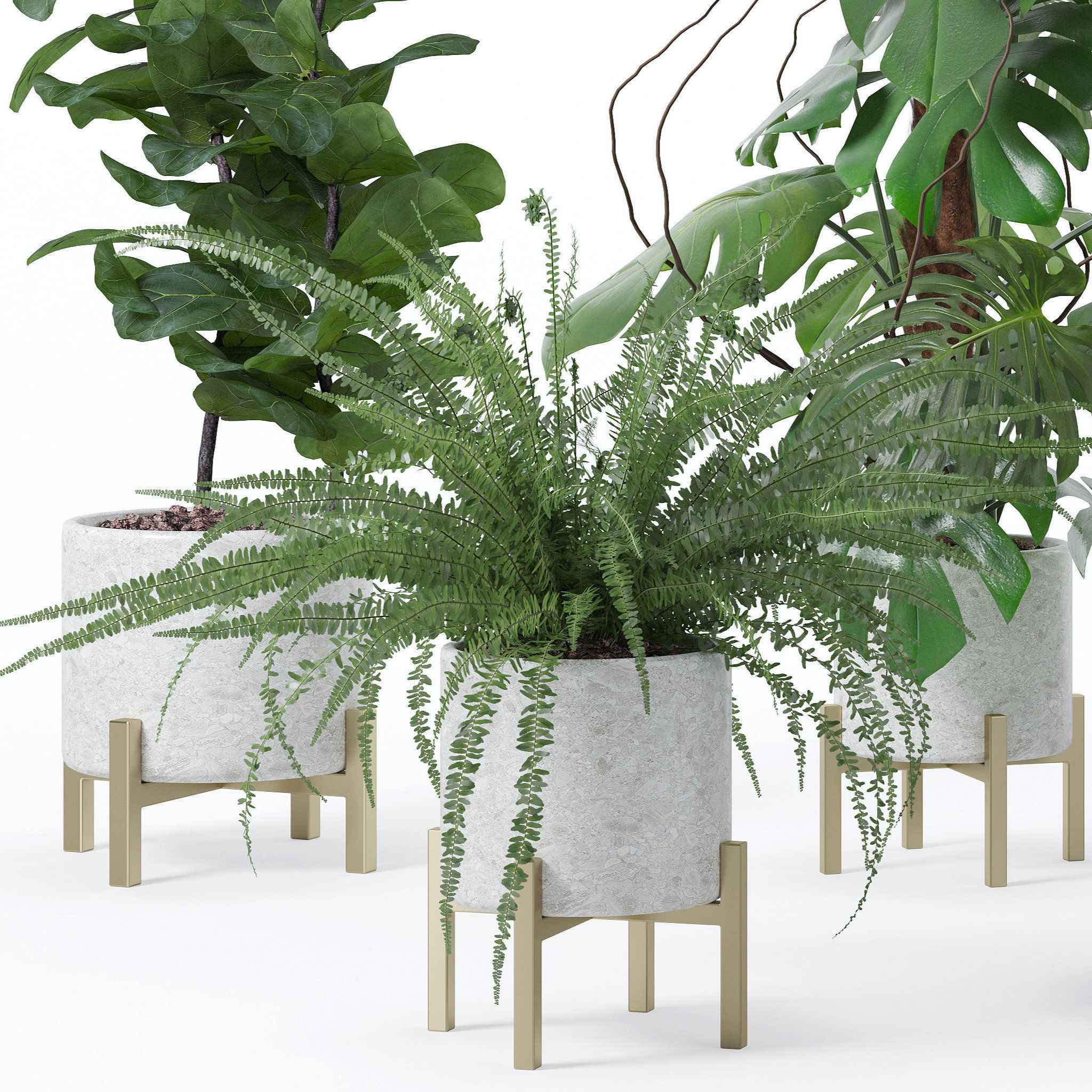 20 Photorealistic Flowers for Interiors - set 118 125 132 135 3D Model Collection_7