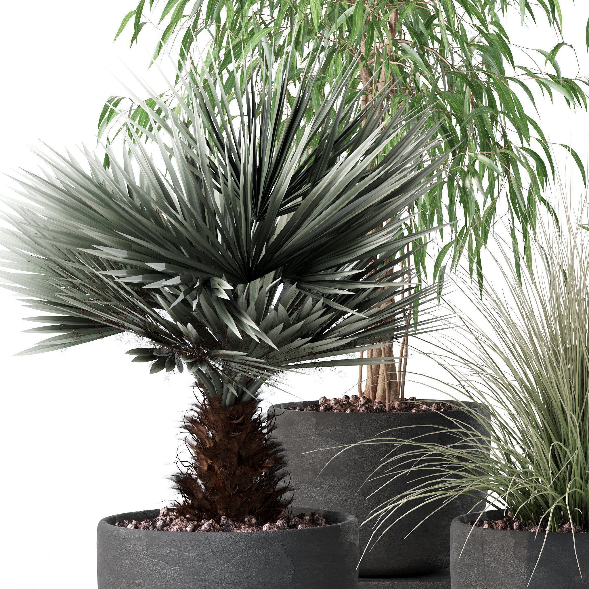 20 Photorealistic Flowers for Interiors - set 118 125 132 135 3D Model Collection_39