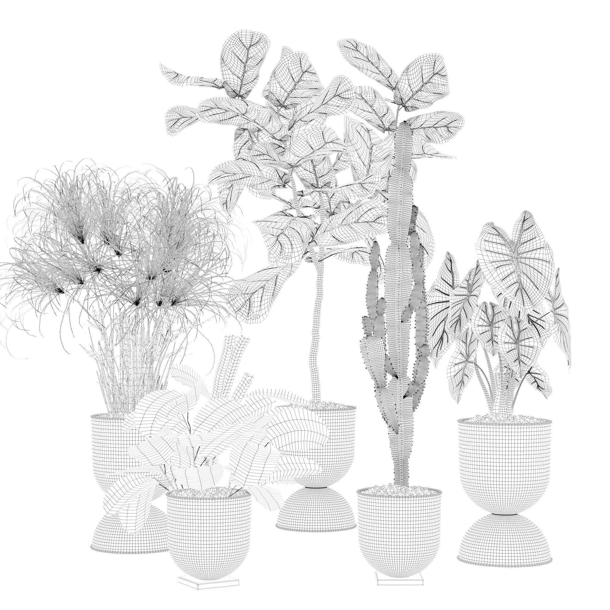 20 Photorealistic Flowers for Interiors - set 118 125 132 135 3D Model Collection_19