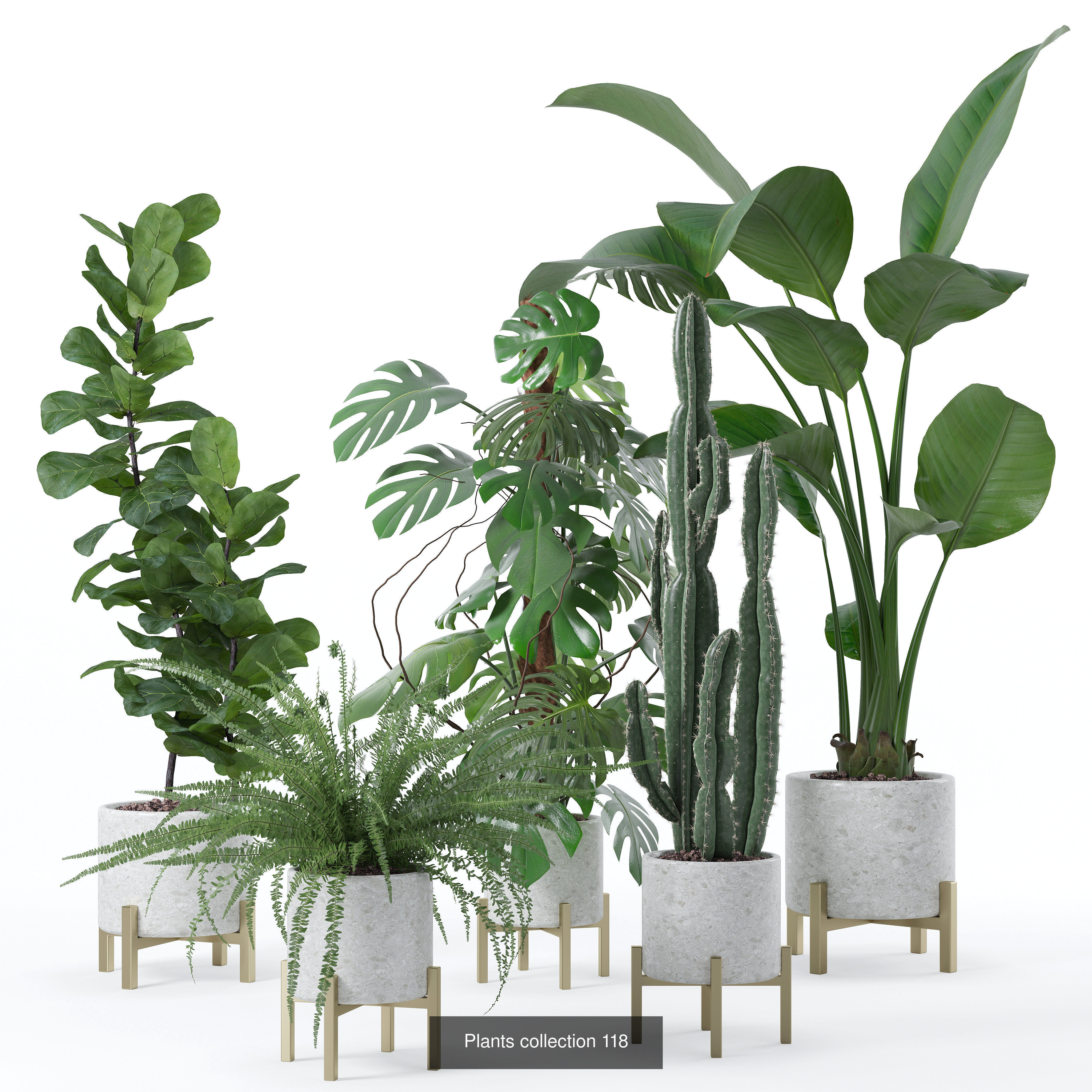 20 Photorealistic Flowers for Interiors - set 118 125 132 135 3D Model Collection_1