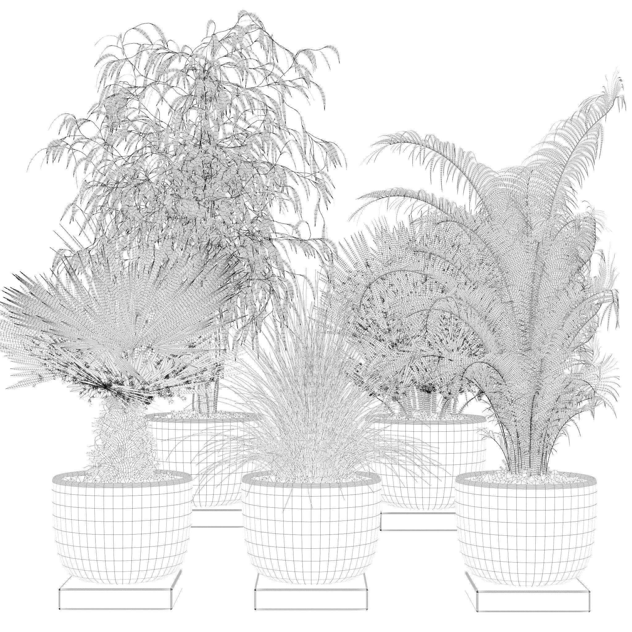 20 Photorealistic Flowers for Interiors - set 118 125 132 135 3D Model Collection_43