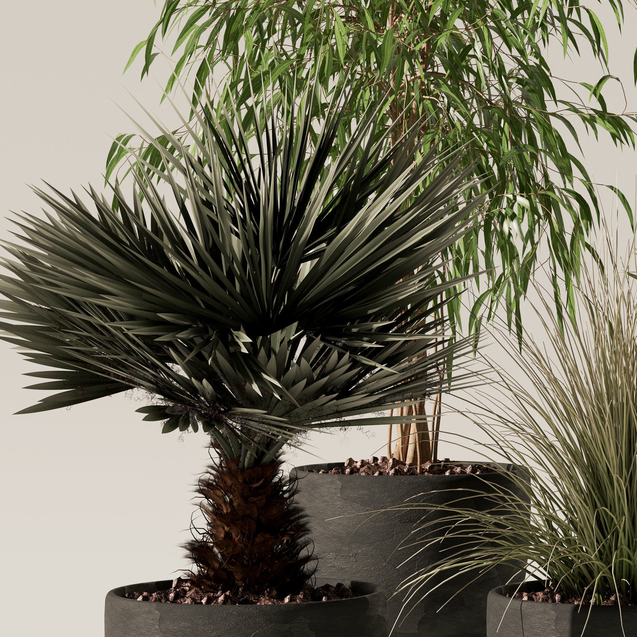 20 Photorealistic Flowers for Interiors - set 118 125 132 135 3D Model Collection_44