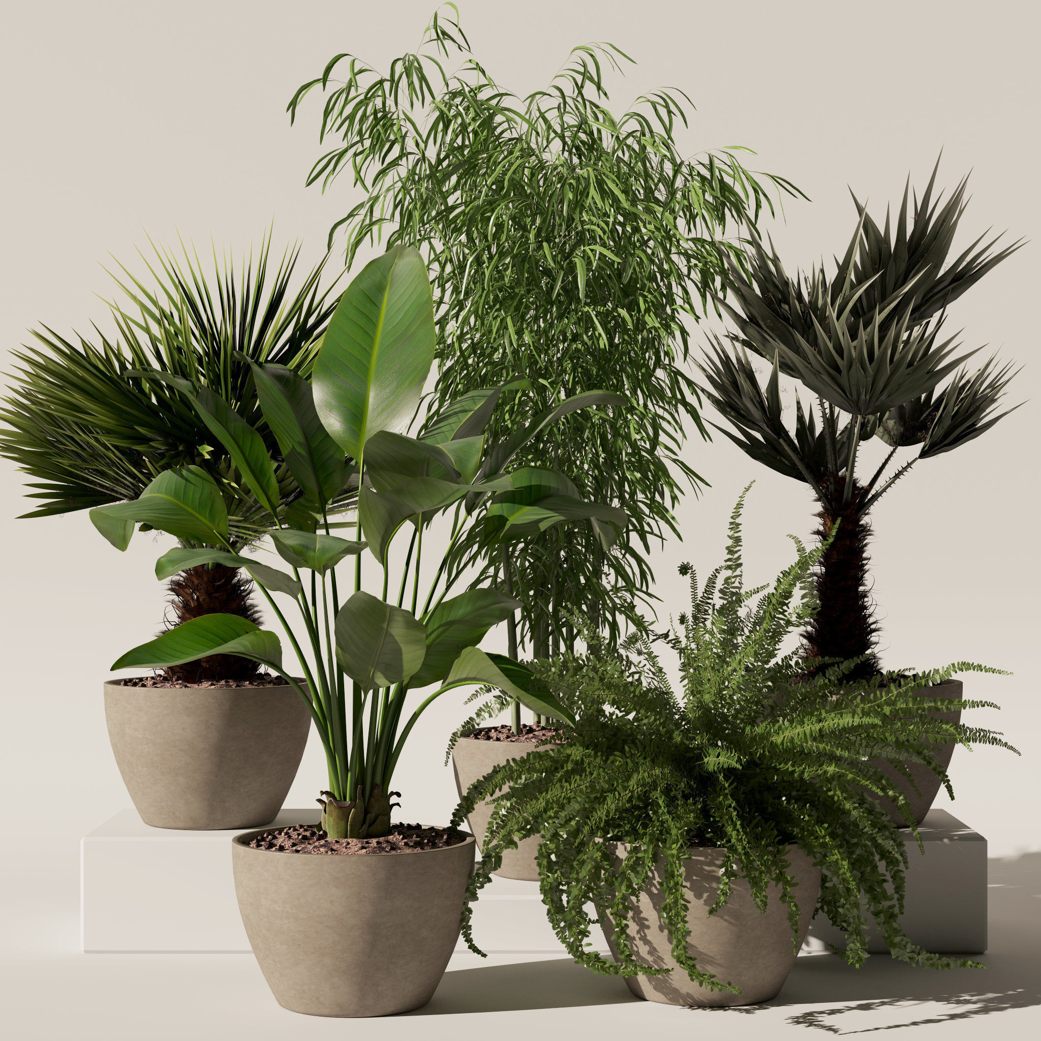 20 Photorealistic Flowers for Interiors - set 118 125 132 135 3D Model Collection_35