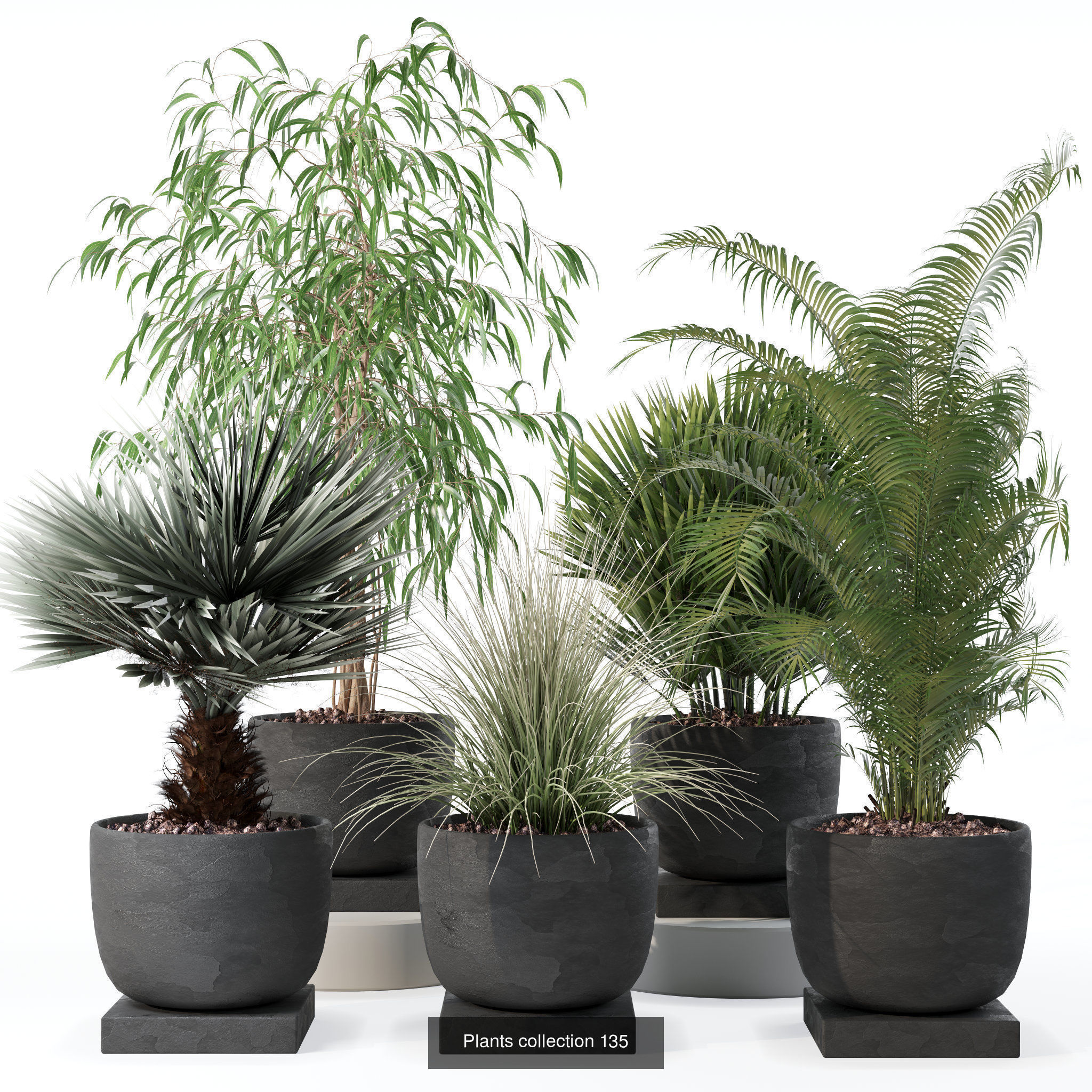 20 Photorealistic Flowers for Interiors - set 118 125 132 135 3D Model Collection_4