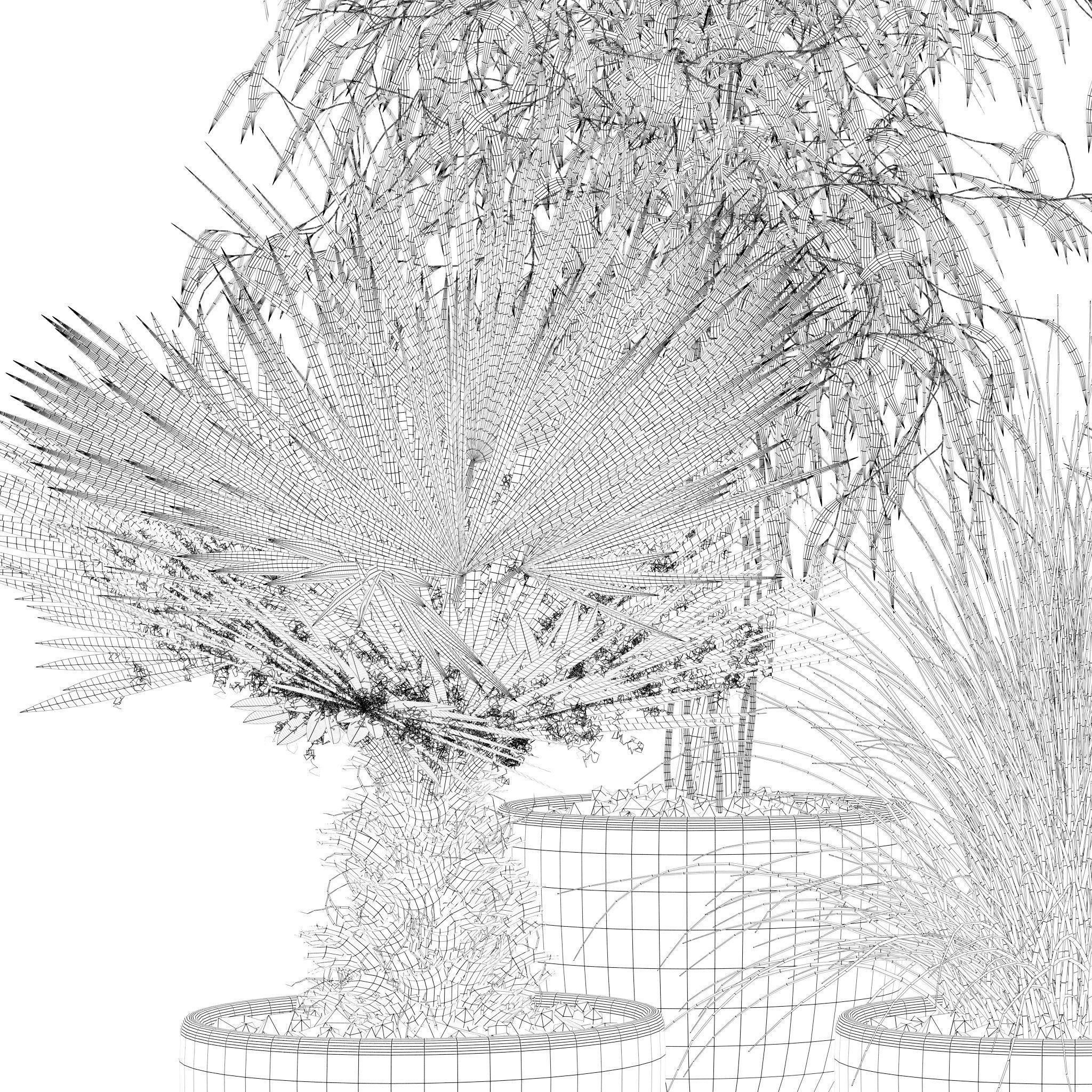 20 Photorealistic Flowers for Interiors - set 118 125 132 135 3D Model Collection_48