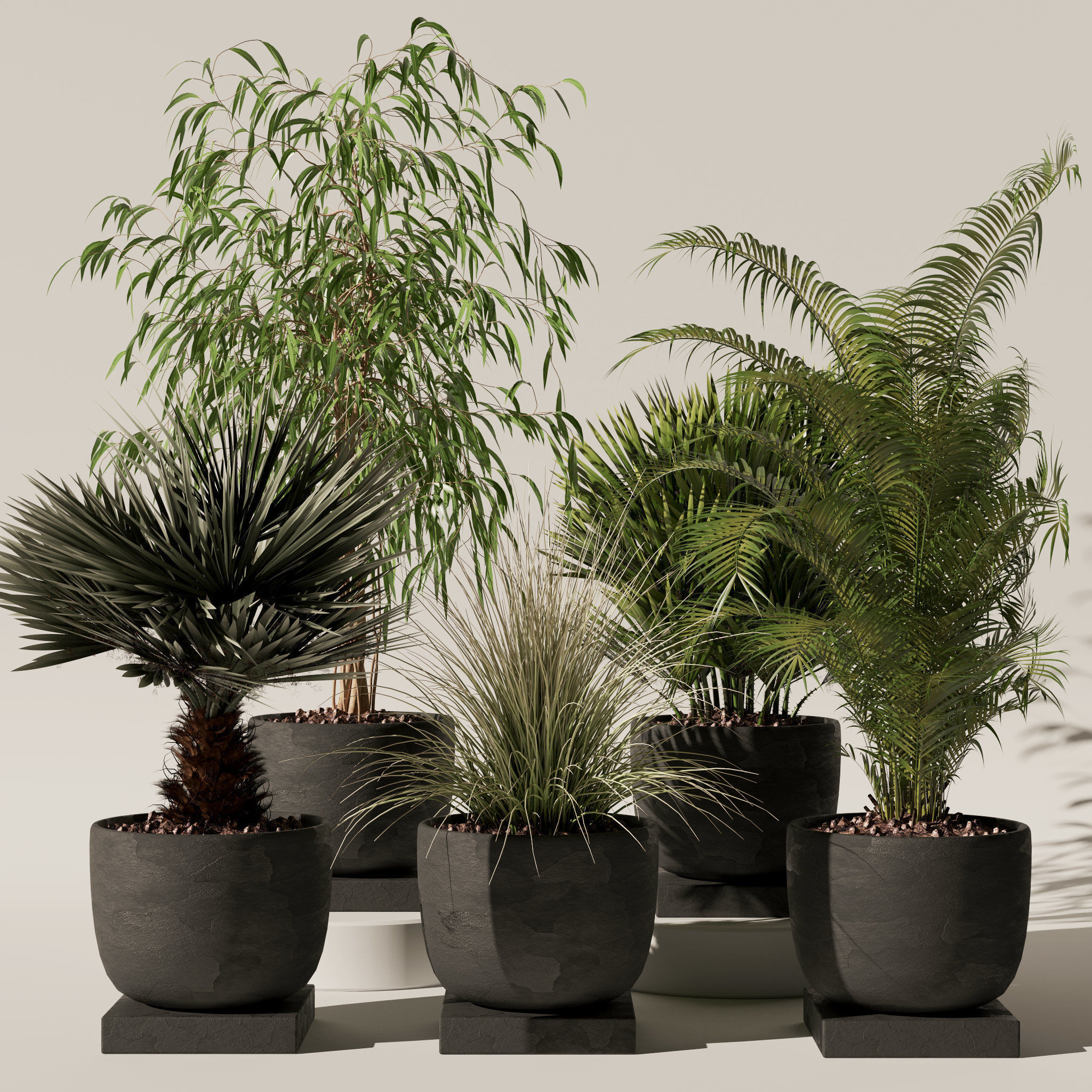 20 Photorealistic Flowers for Interiors - set 118 125 132 135 3D Model Collection_42