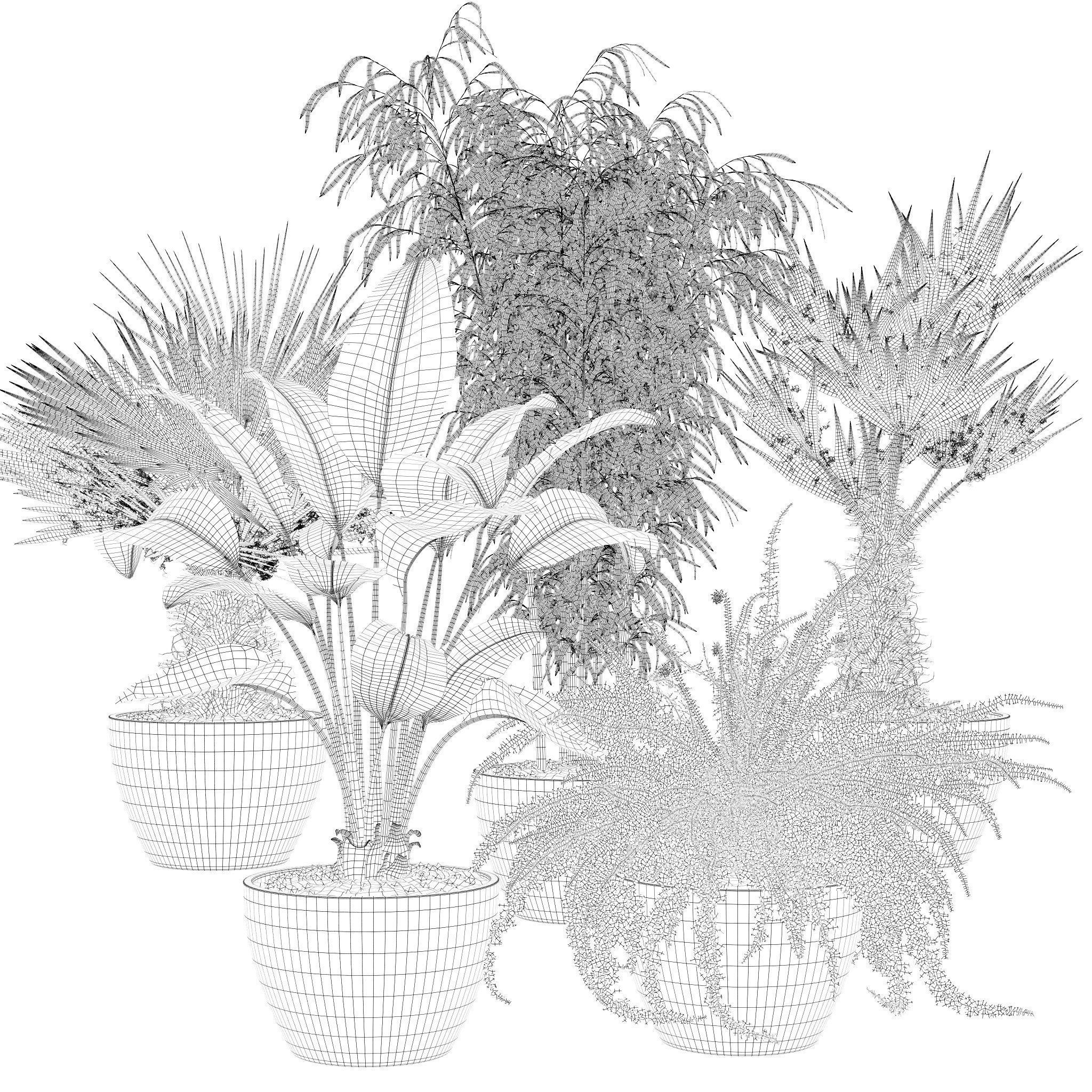 20 Photorealistic Flowers for Interiors - set 118 125 132 135 3D Model Collection_29