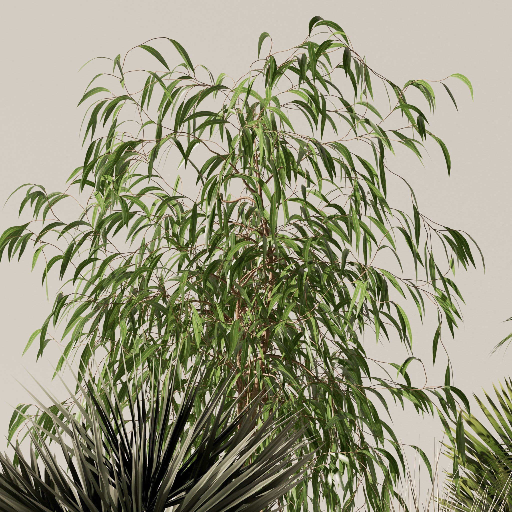 20 Photorealistic Flowers for Interiors - set 118 125 132 135 3D Model Collection_52