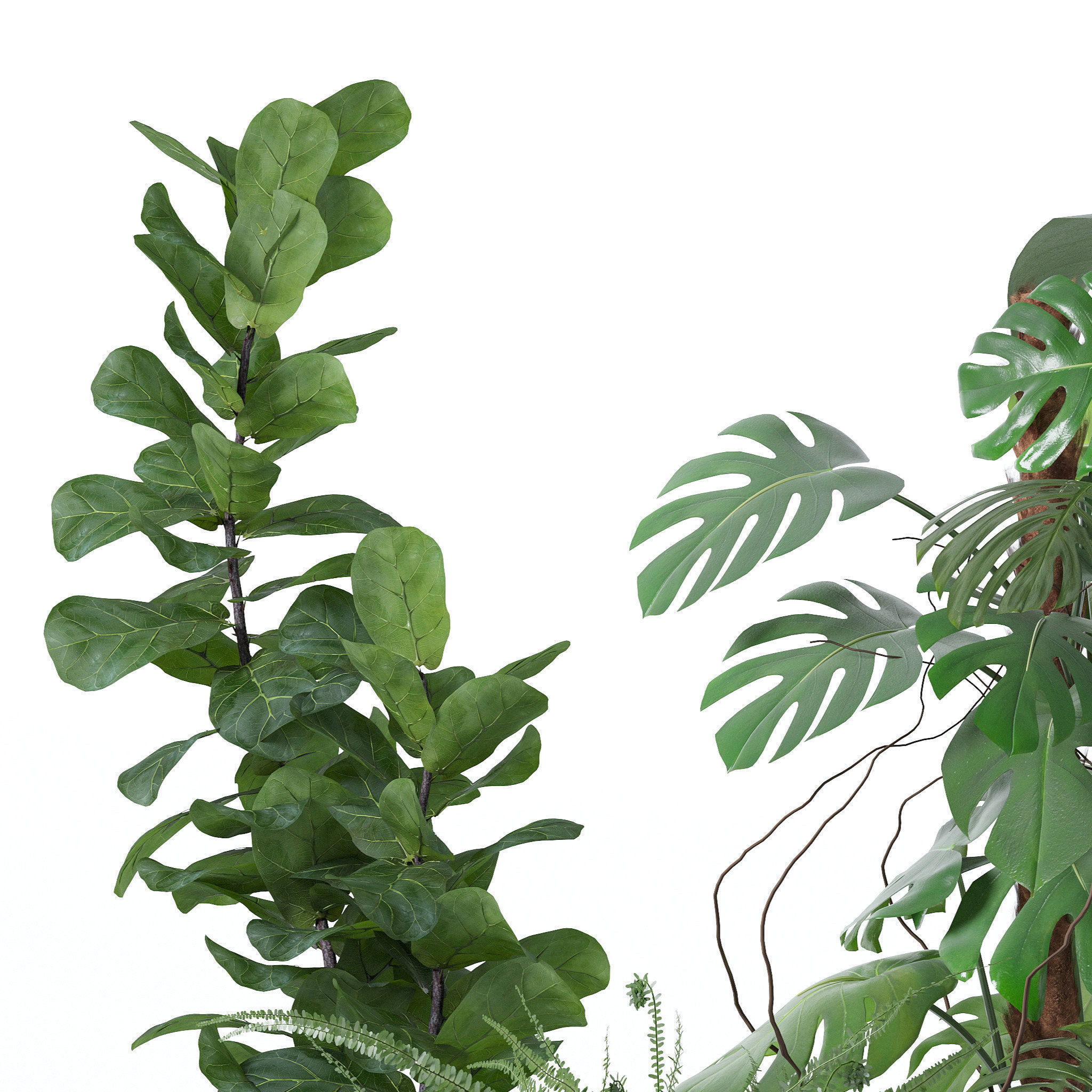 20 Photorealistic Flowers for Interiors - set 118 130 141 143 3D Model Collection_5