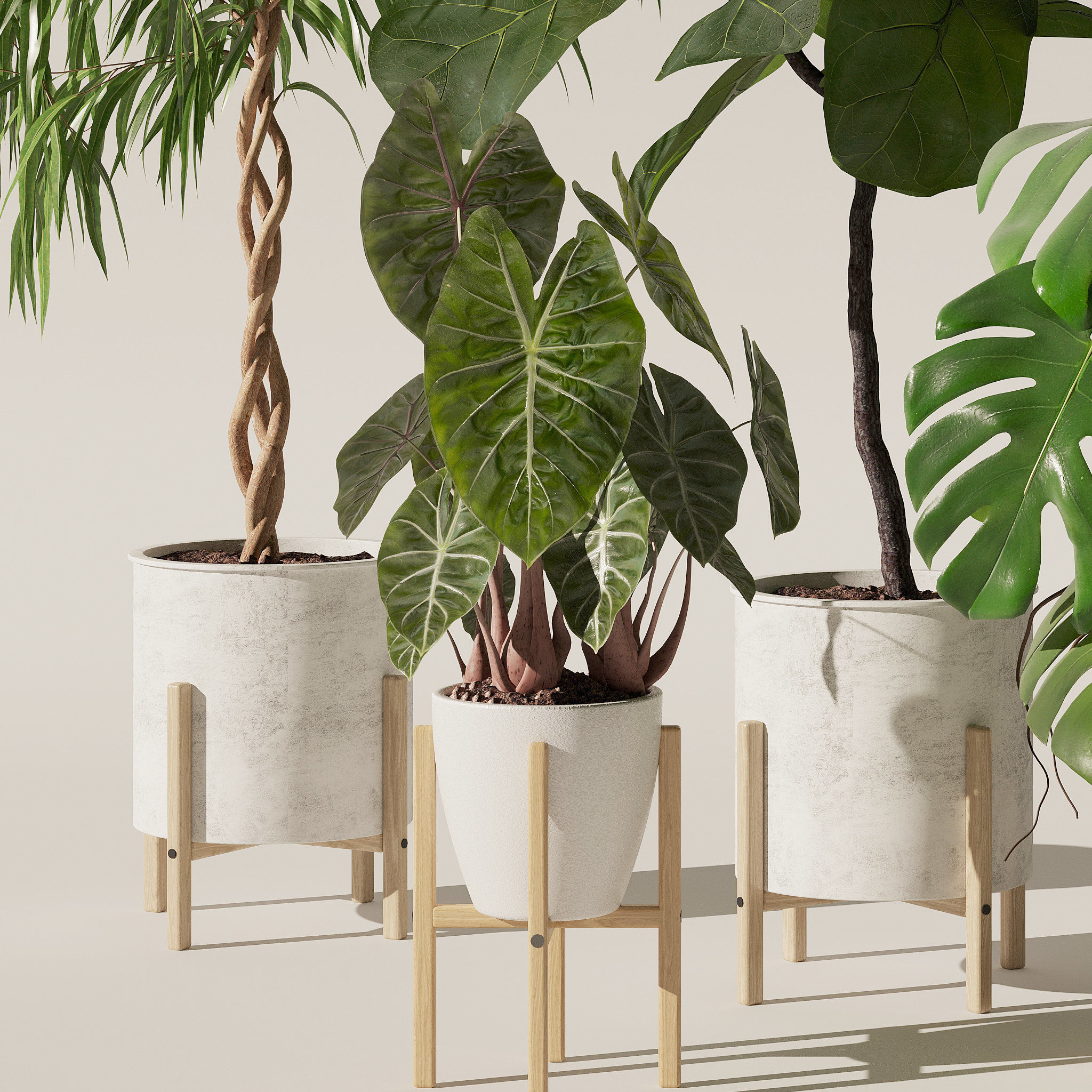 20 Photorealistic Flowers for Interiors - set 118 130 141 143 3D Model Collection_26