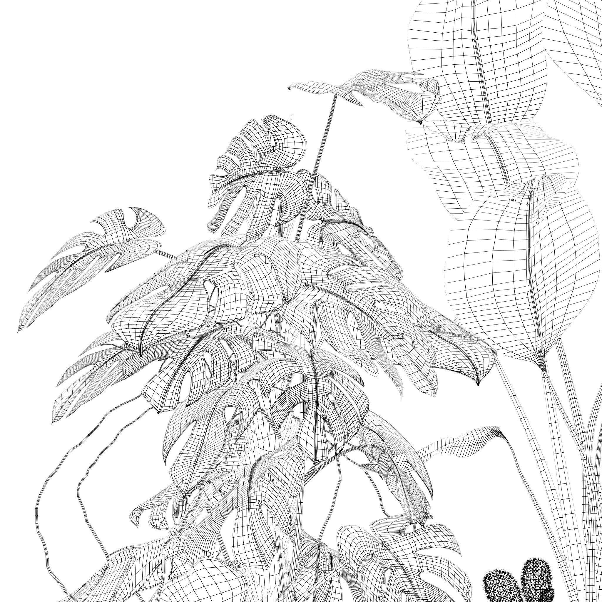 20 Photorealistic Flowers for Interiors - set 118 130 141 143 3D Model Collection_53