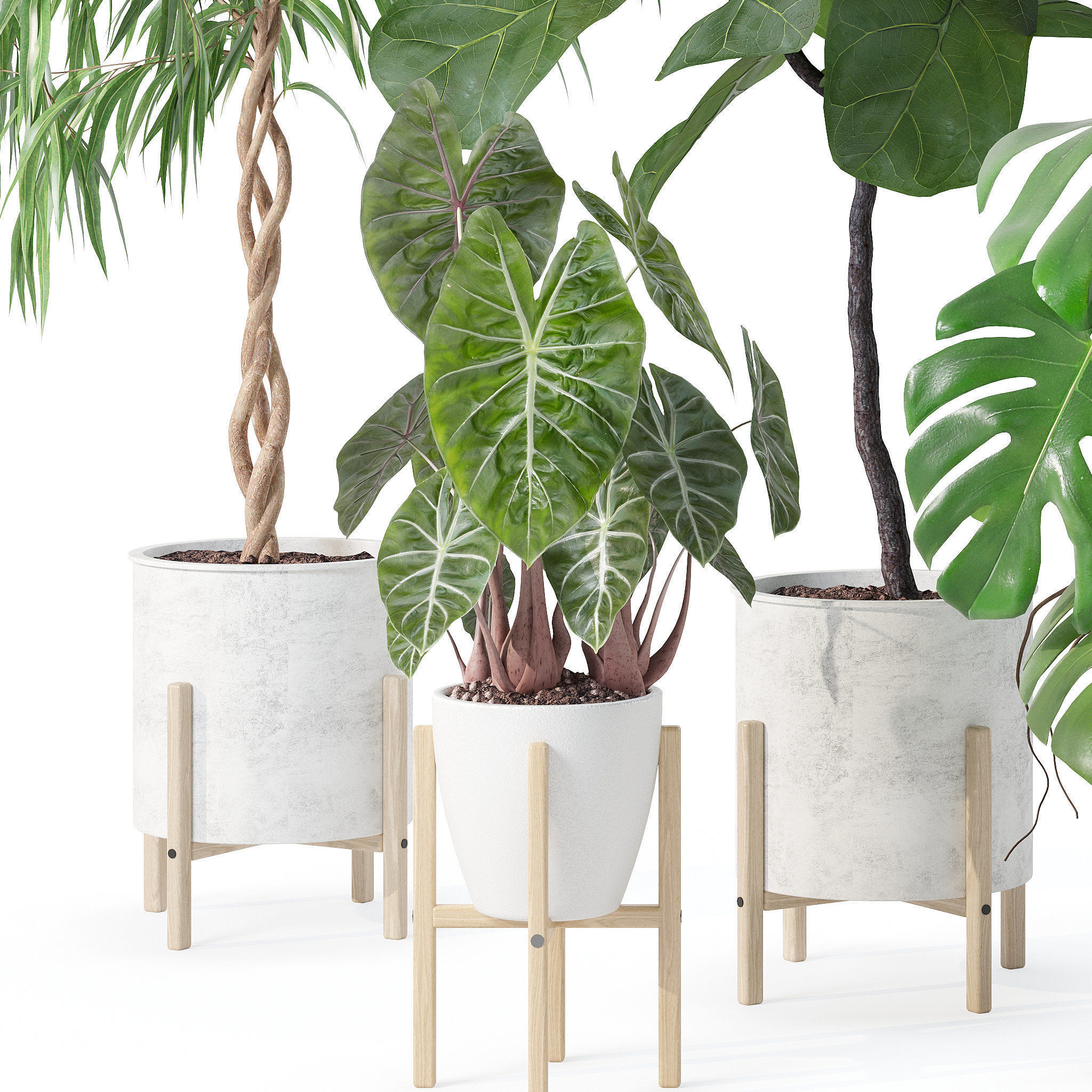 20 Photorealistic Flowers for Interiors - set 118 130 141 143 3D Model Collection_24