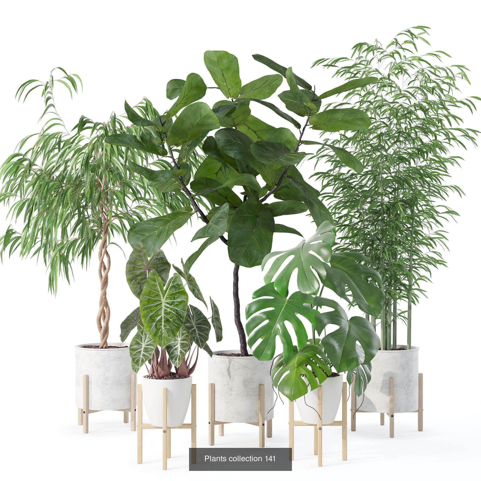 20 Photorealistic Flowers for Interiors - set 118 130 141 143 3D Model Collection_4