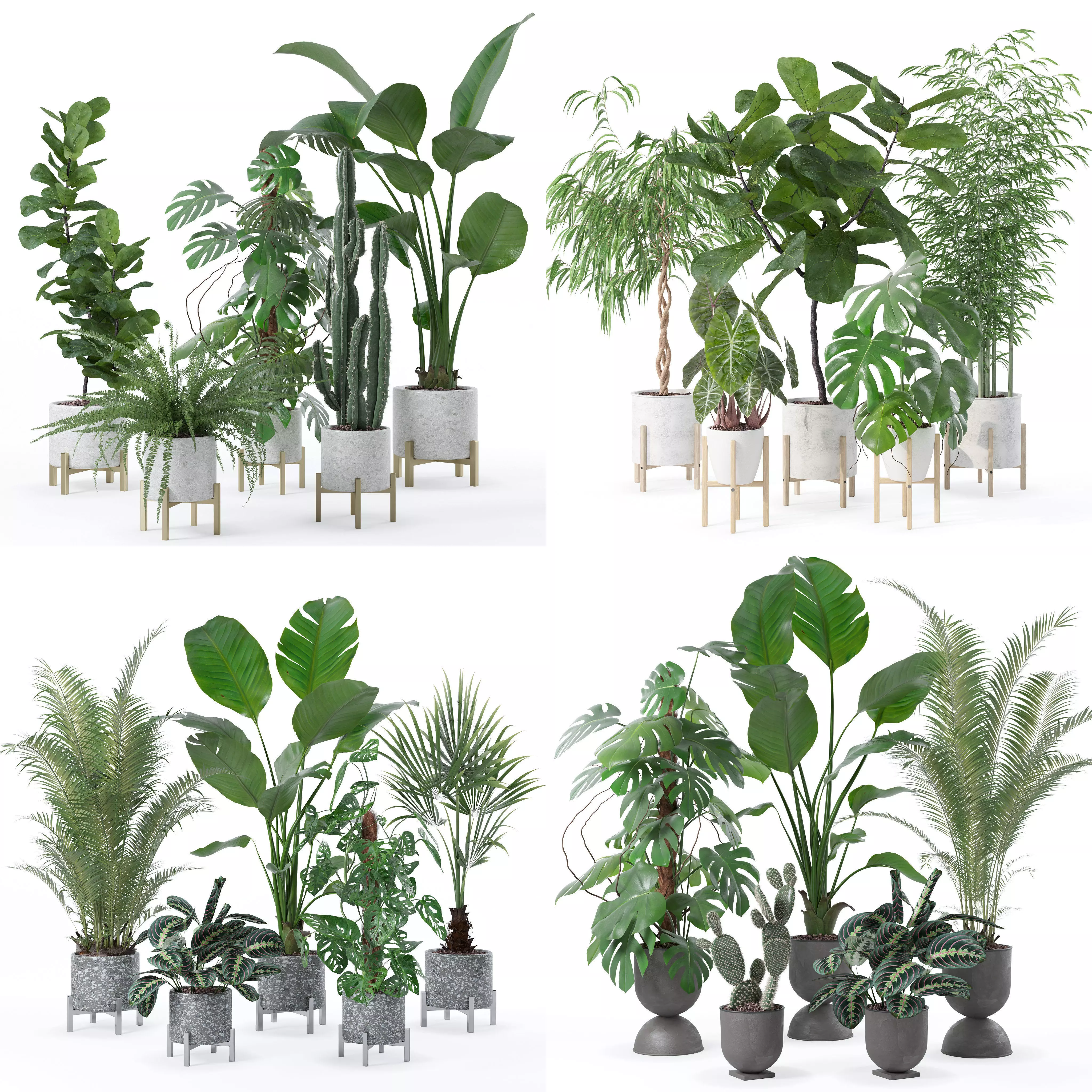 20 Photorealistic Flowers for Interiors - set 118 130 141 143 3D Model Collection_0