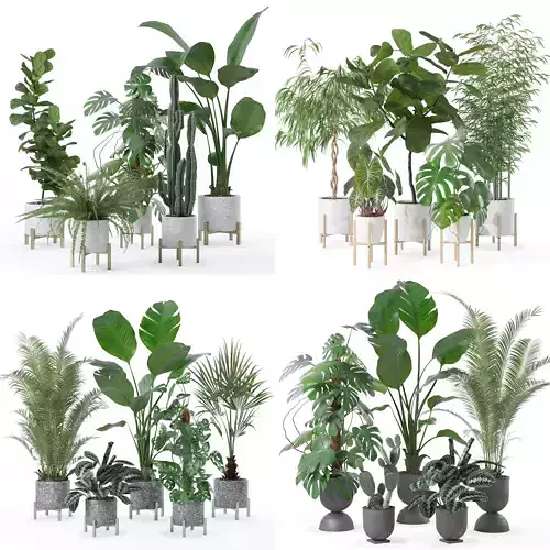 20 Photorealistic Flowers for Interiors - set 118 130 141 143 3D Model Collection