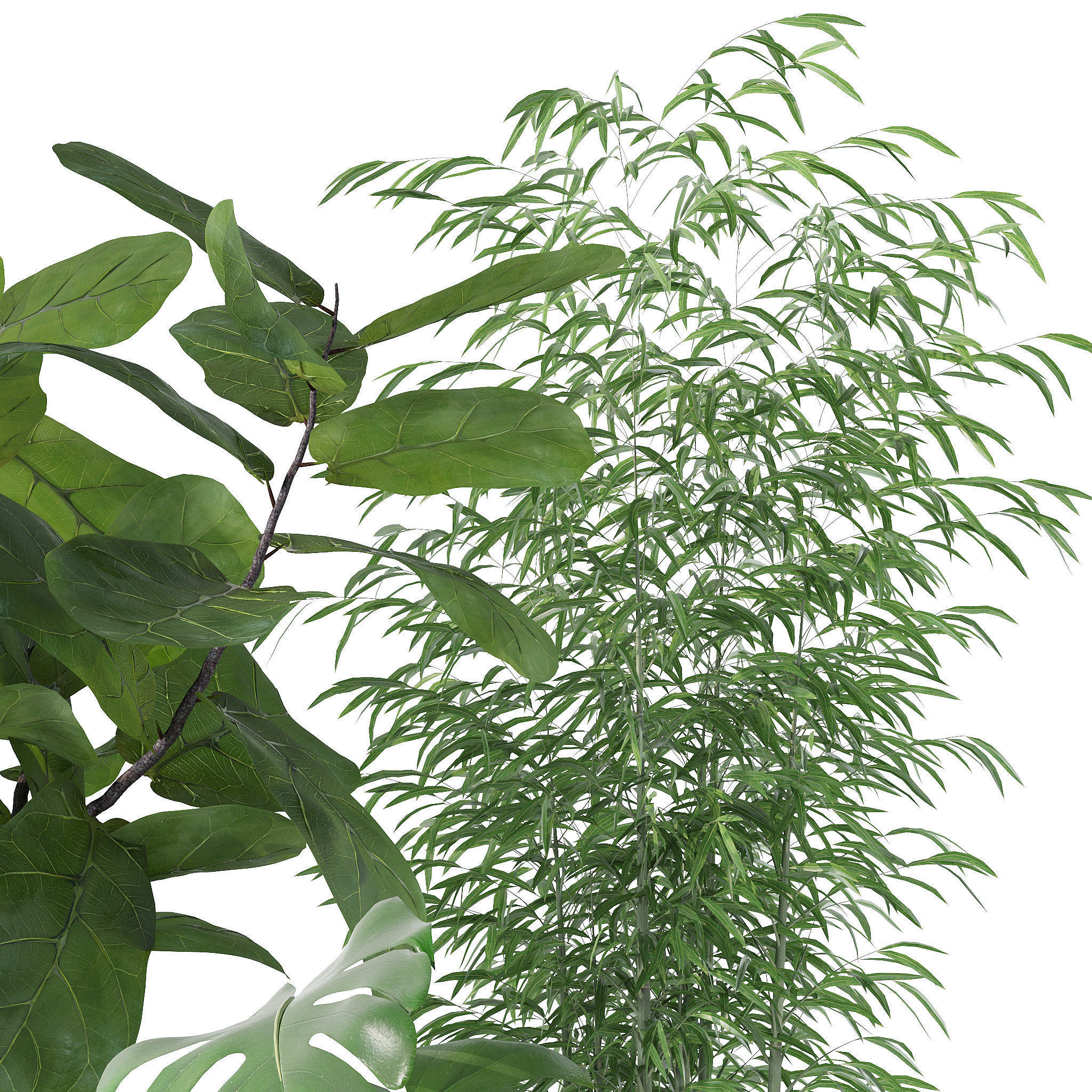 20 Photorealistic Flowers for Interiors - set 118 130 141 143 3D Model Collection_35