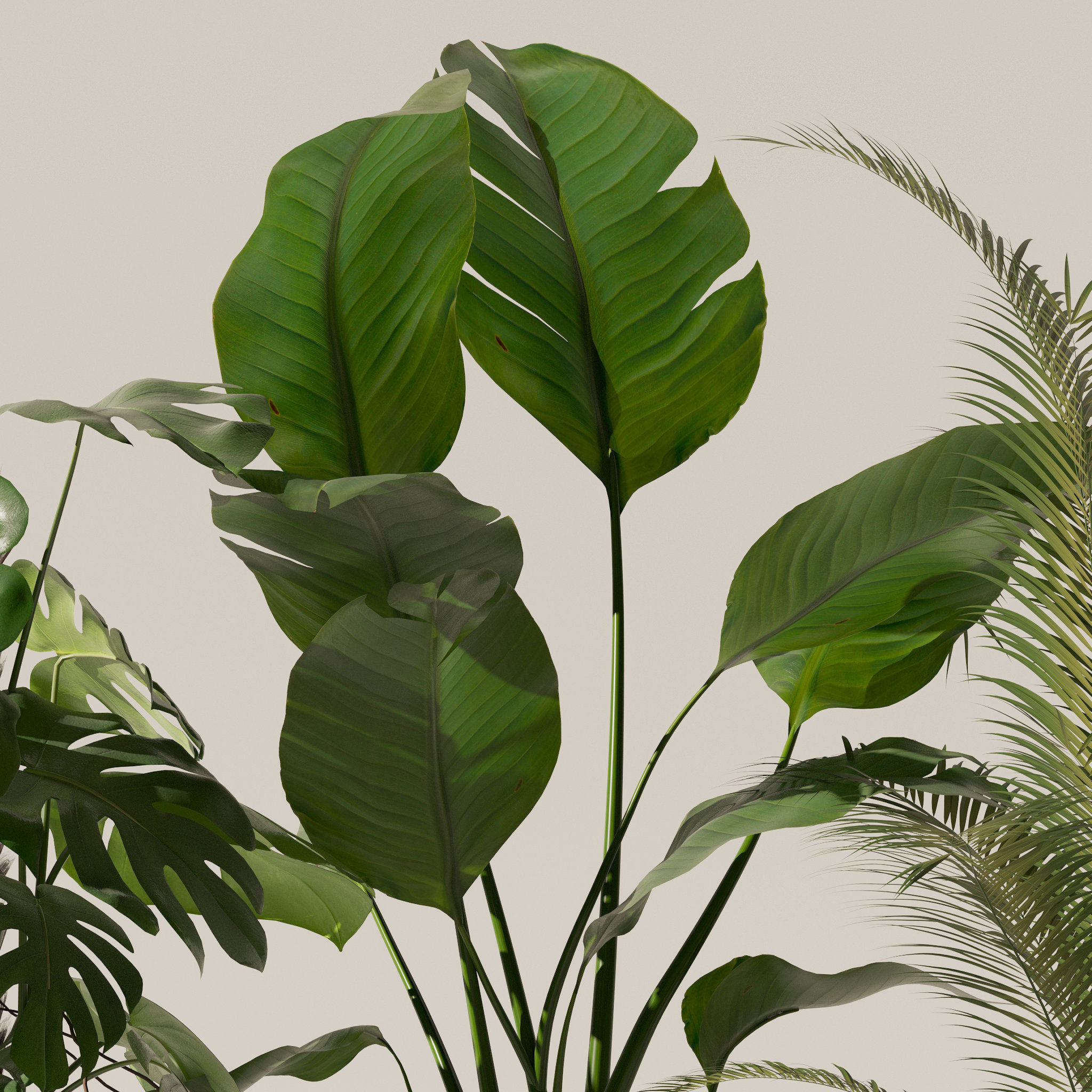 20 Photorealistic Flowers for Interiors - set 118 130 141 143 3D Model Collection_42