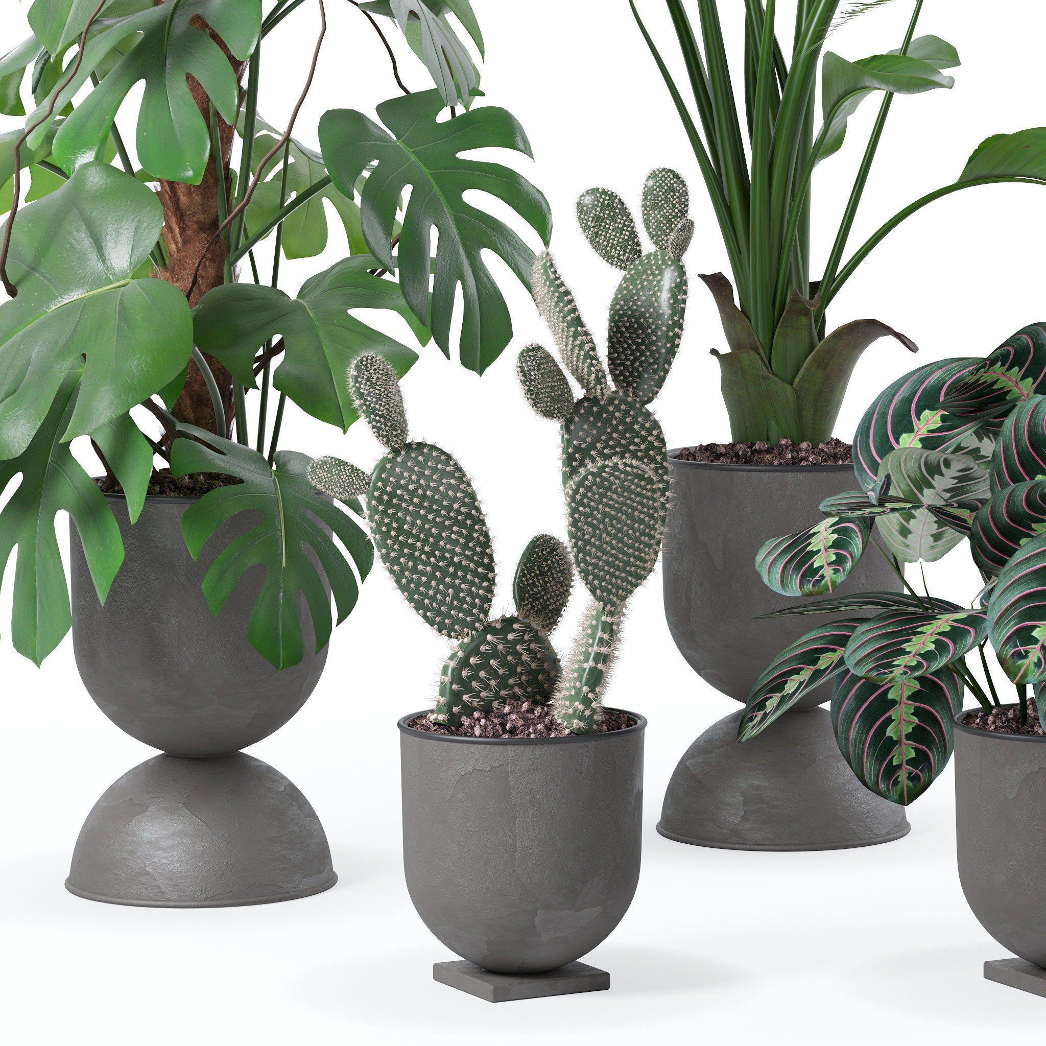 20 Photorealistic Flowers for Interiors - set 118 130 141 143 3D Model Collection_38