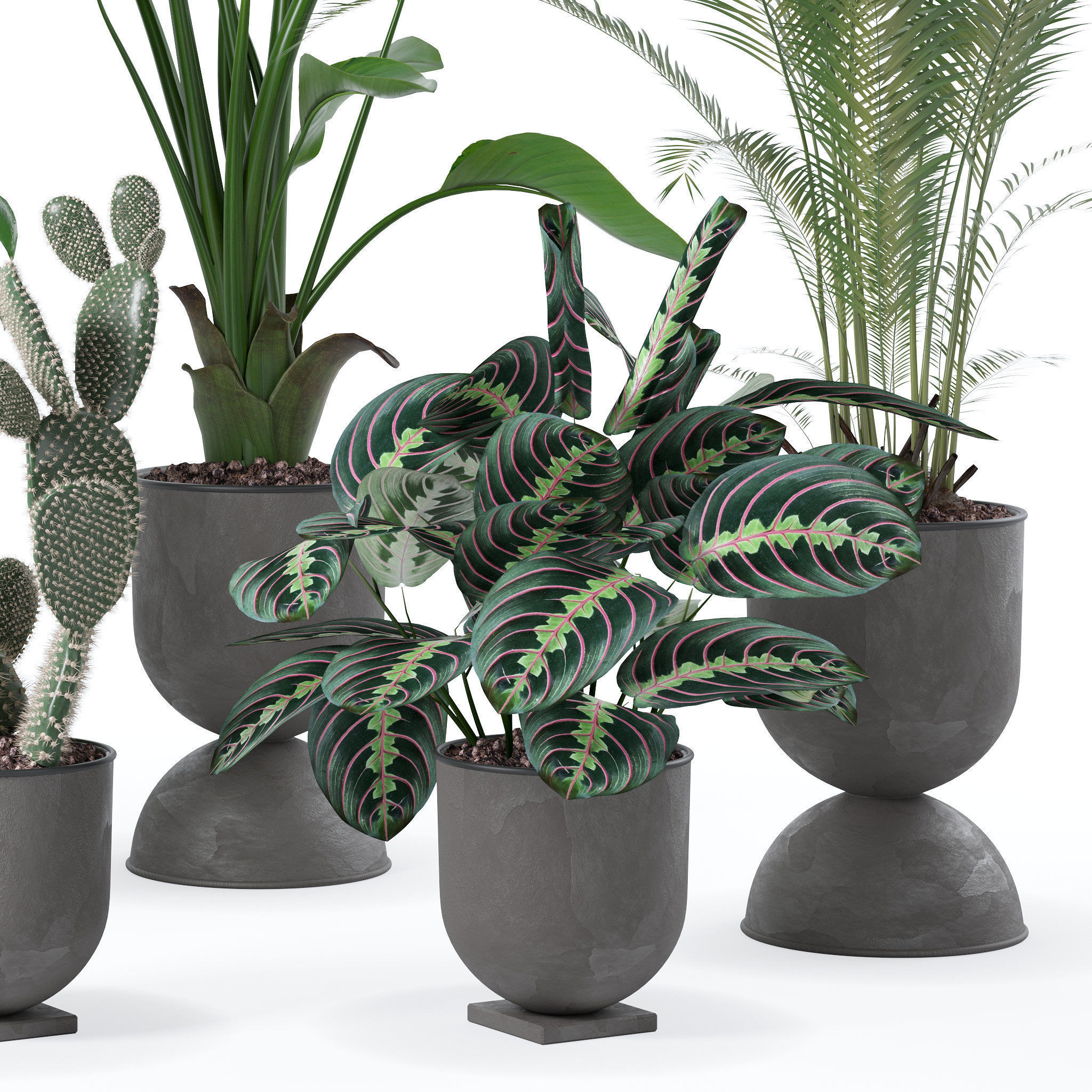 20 Photorealistic Flowers for Interiors - set 118 130 141 143 3D Model Collection_41