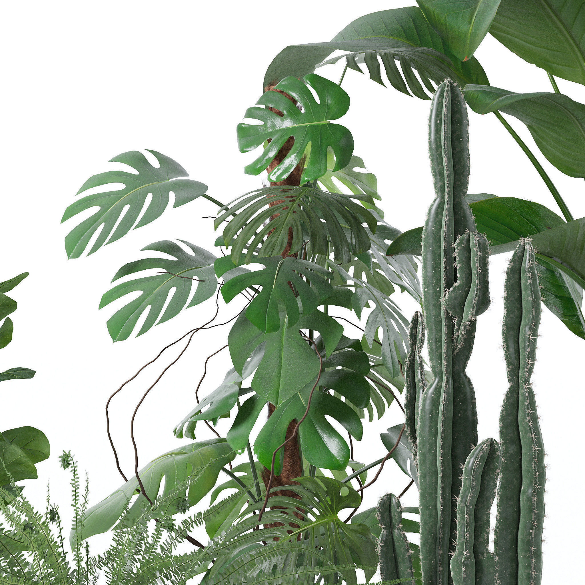 20 Photorealistic Flowers for Interiors - set 118 130 141 143 3D Model Collection_11