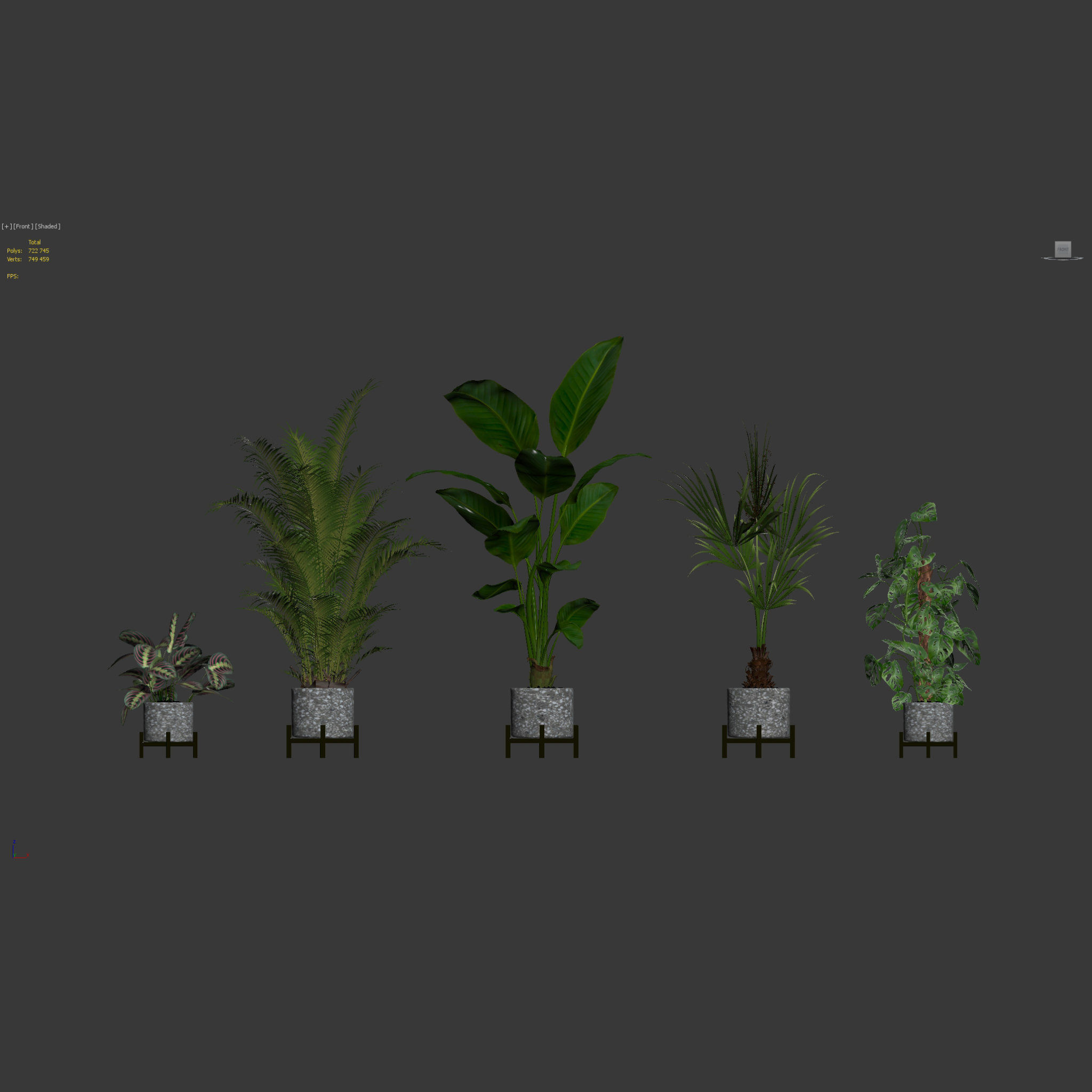 20 Photorealistic Flowers for Interiors - set 118 130 141 143 3D Model Collection_16