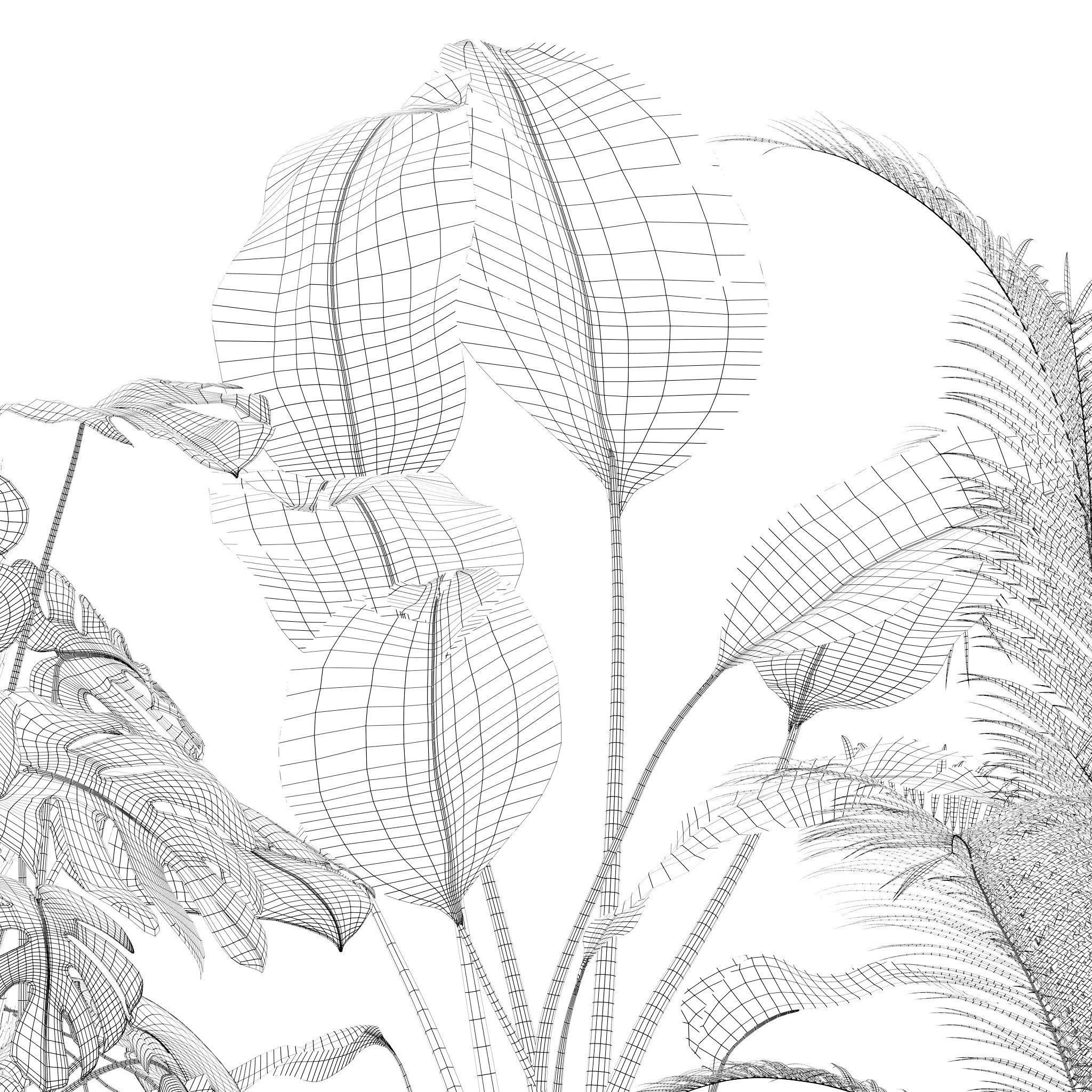 20 Photorealistic Flowers for Interiors - set 118 130 141 143 3D Model Collection_48