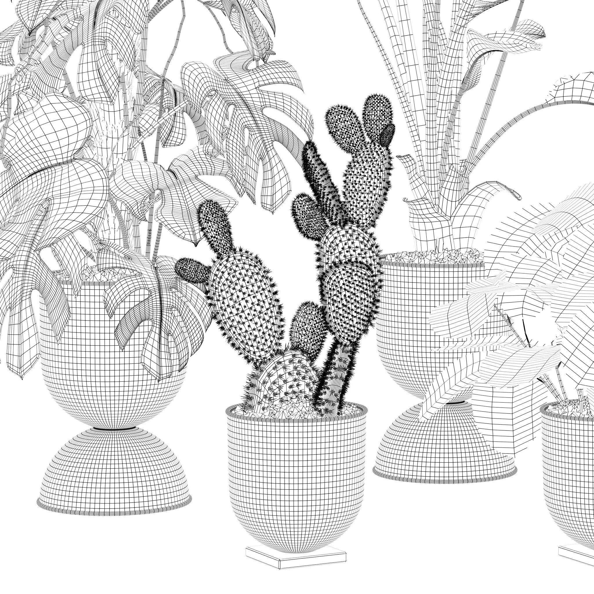 20 Photorealistic Flowers for Interiors - set 118 130 141 143 3D Model Collection_47