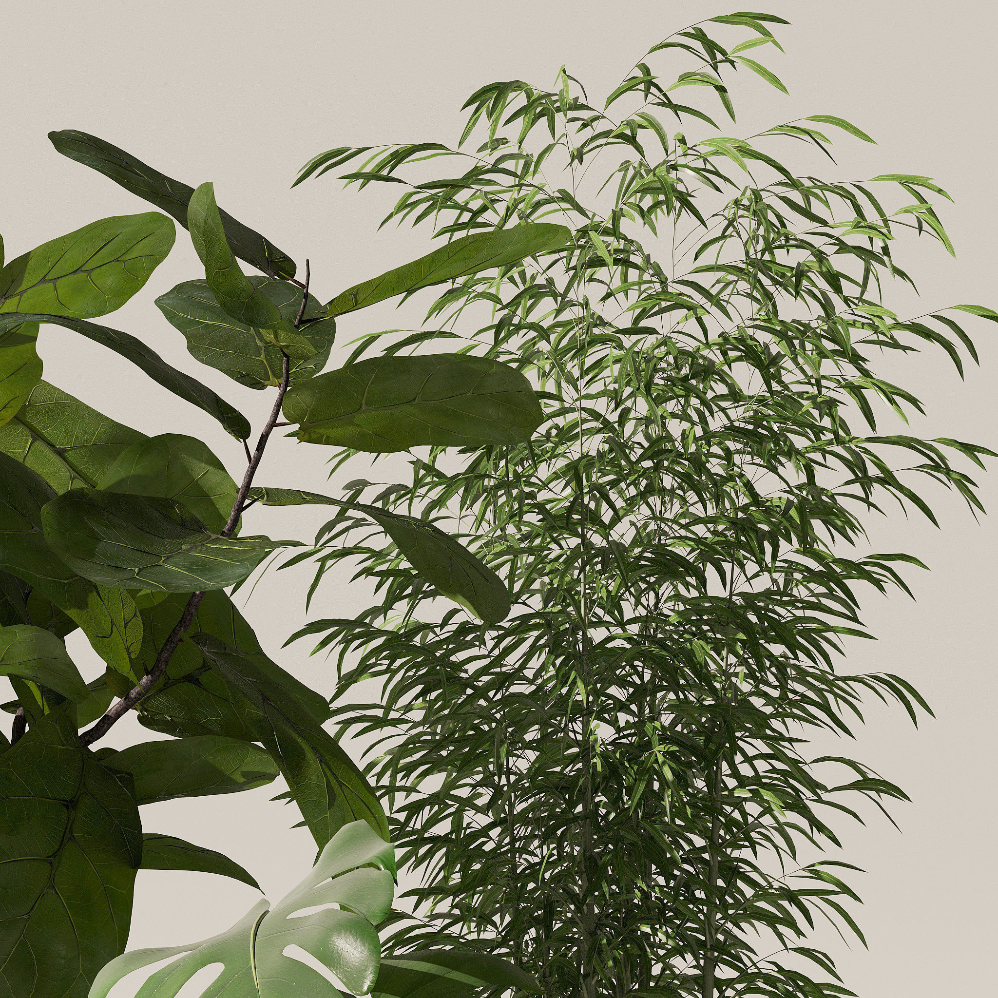 20 Photorealistic Flowers for Interiors - set 118 130 141 143 3D Model Collection_36