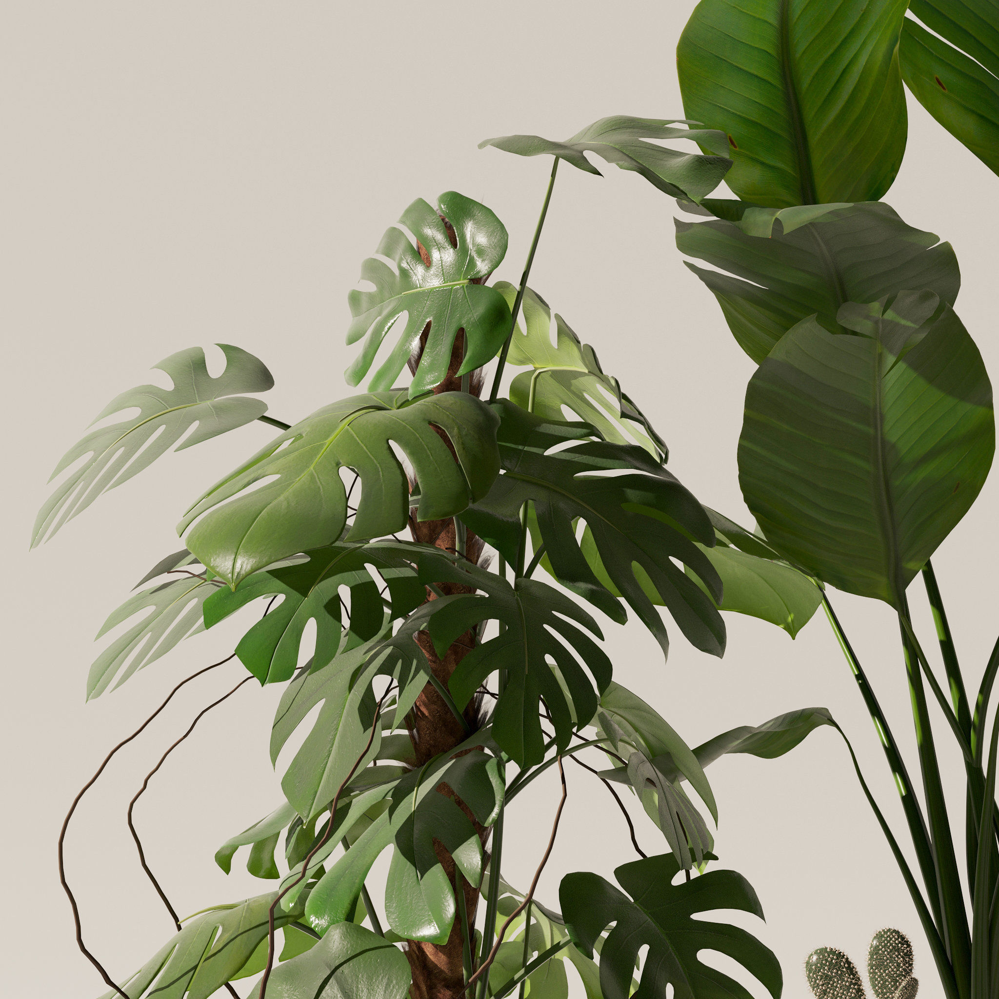 20 Photorealistic Flowers for Interiors - set 118 130 141 143 3D Model Collection_44