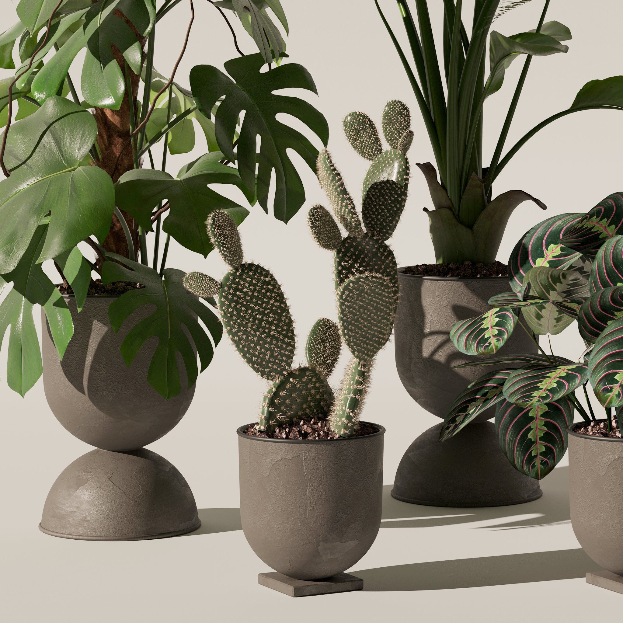 20 Photorealistic Flowers for Interiors - set 118 130 141 143 3D Model Collection_54