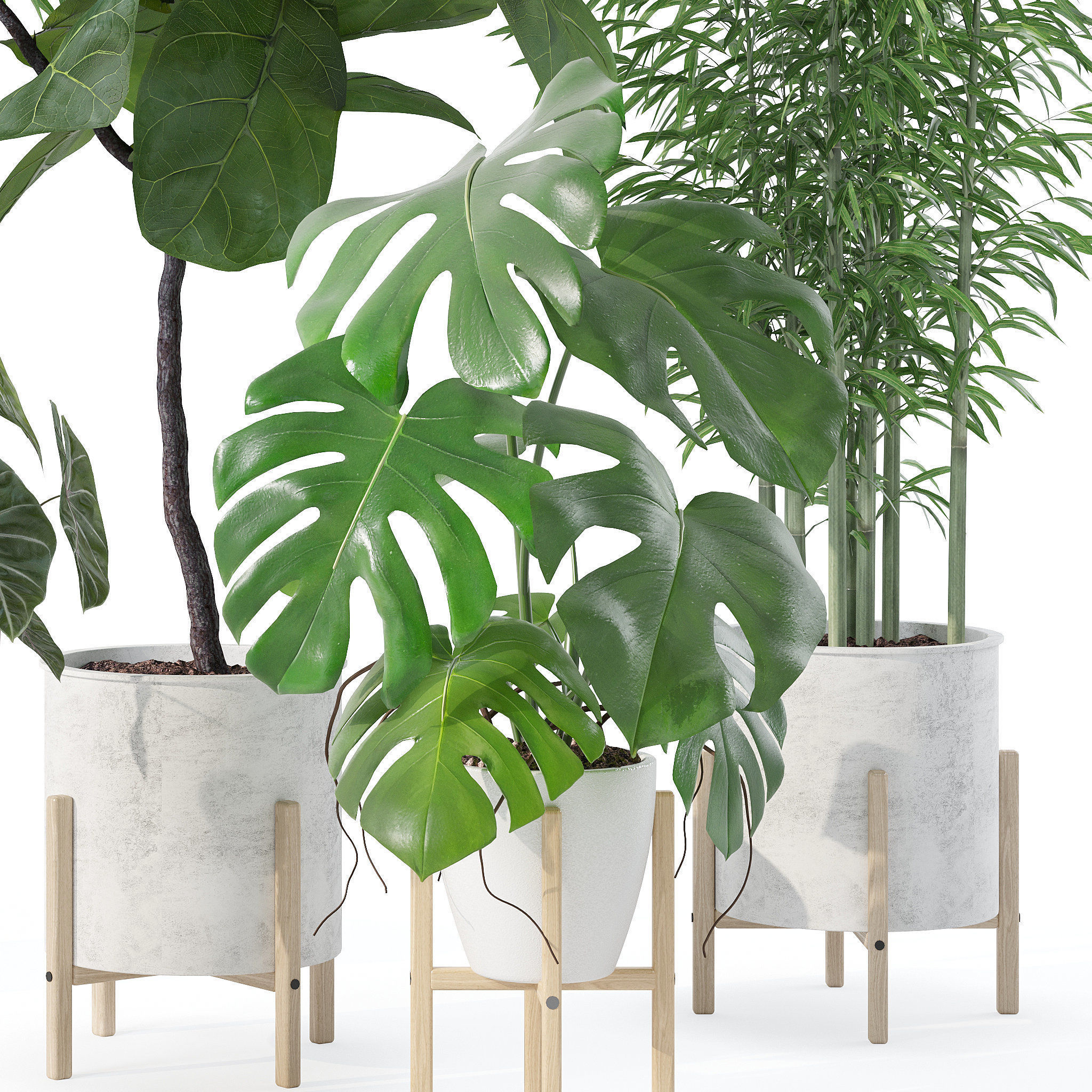 20 Photorealistic Flowers for Interiors - set 118 130 141 143 3D Model Collection_25