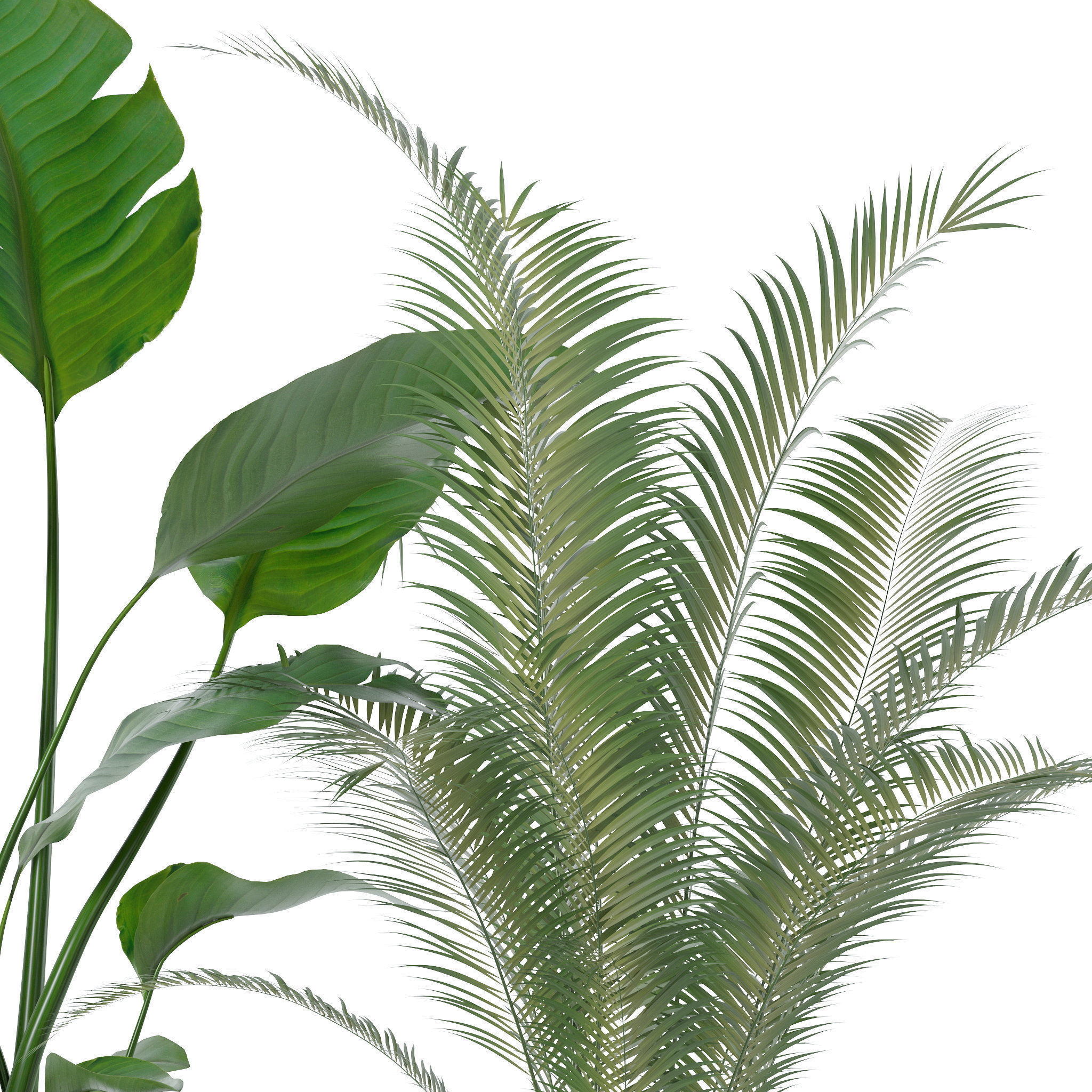 20 Photorealistic Flowers for Interiors - set 118 130 141 143 3D Model Collection_50