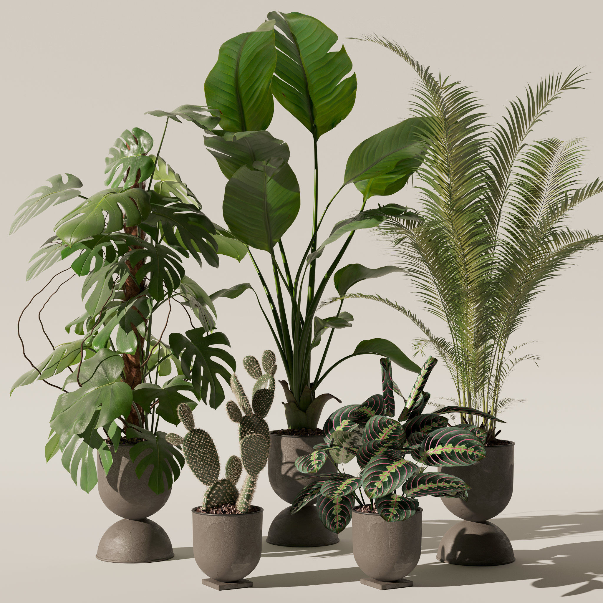 20 Photorealistic Flowers for Interiors - set 118 130 141 143 3D Model Collection_45