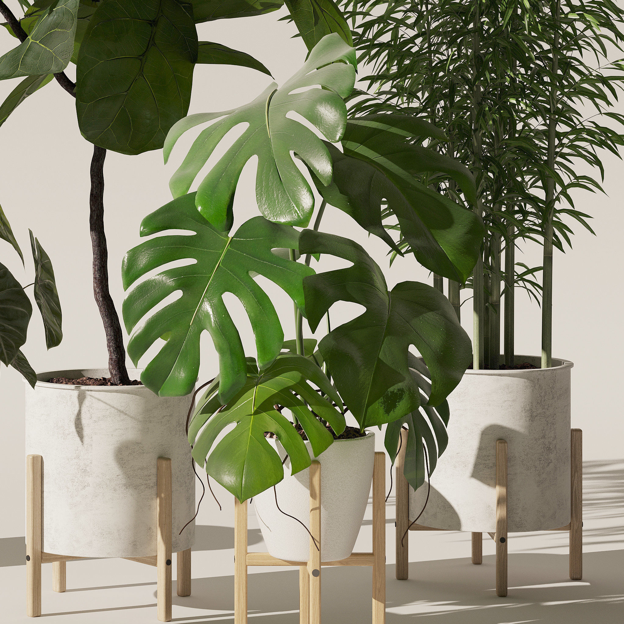 20 Photorealistic Flowers for Interiors - set 118 130 141 143 3D Model Collection_30