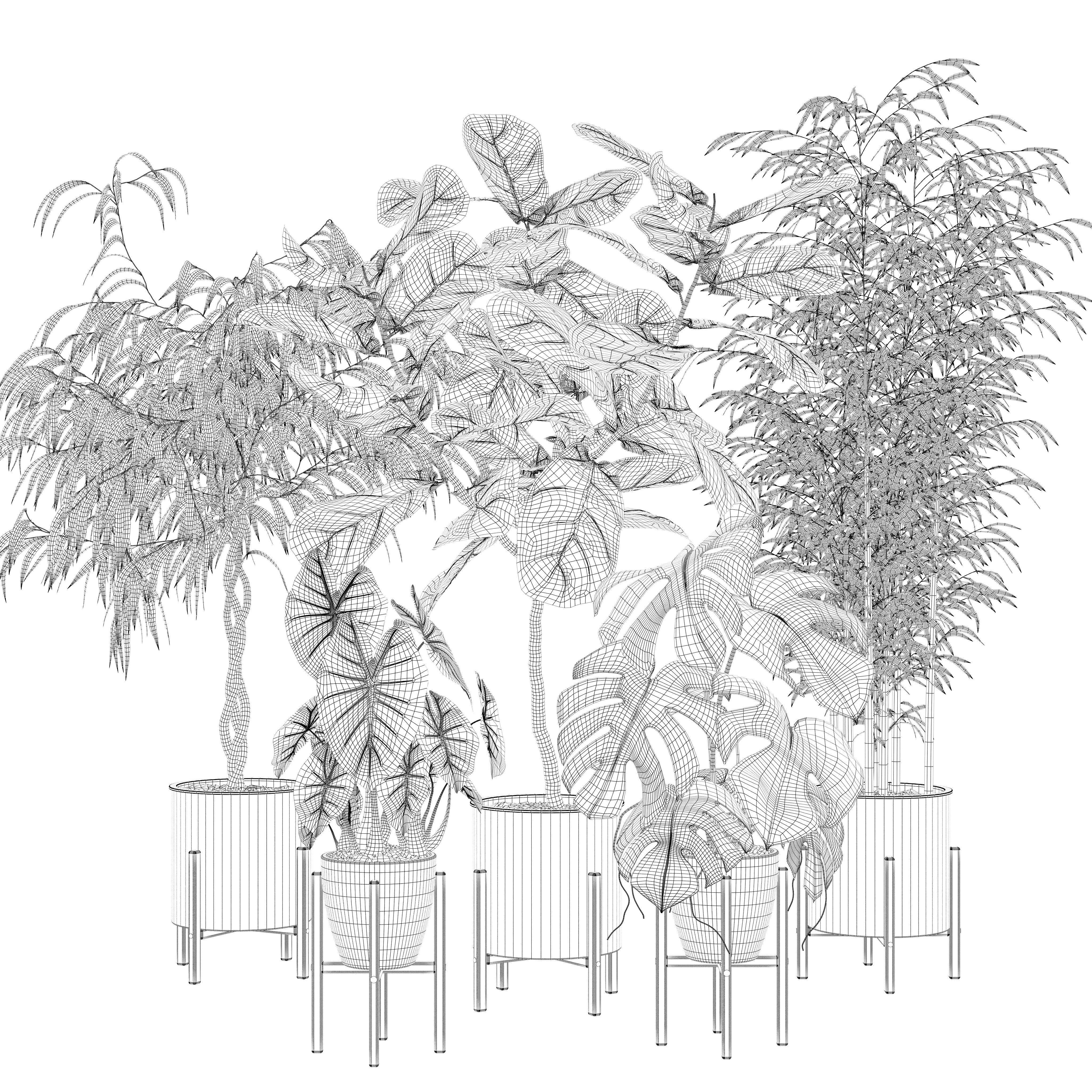 20 Photorealistic Flowers for Interiors - set 118 130 141 143 3D Model Collection_37