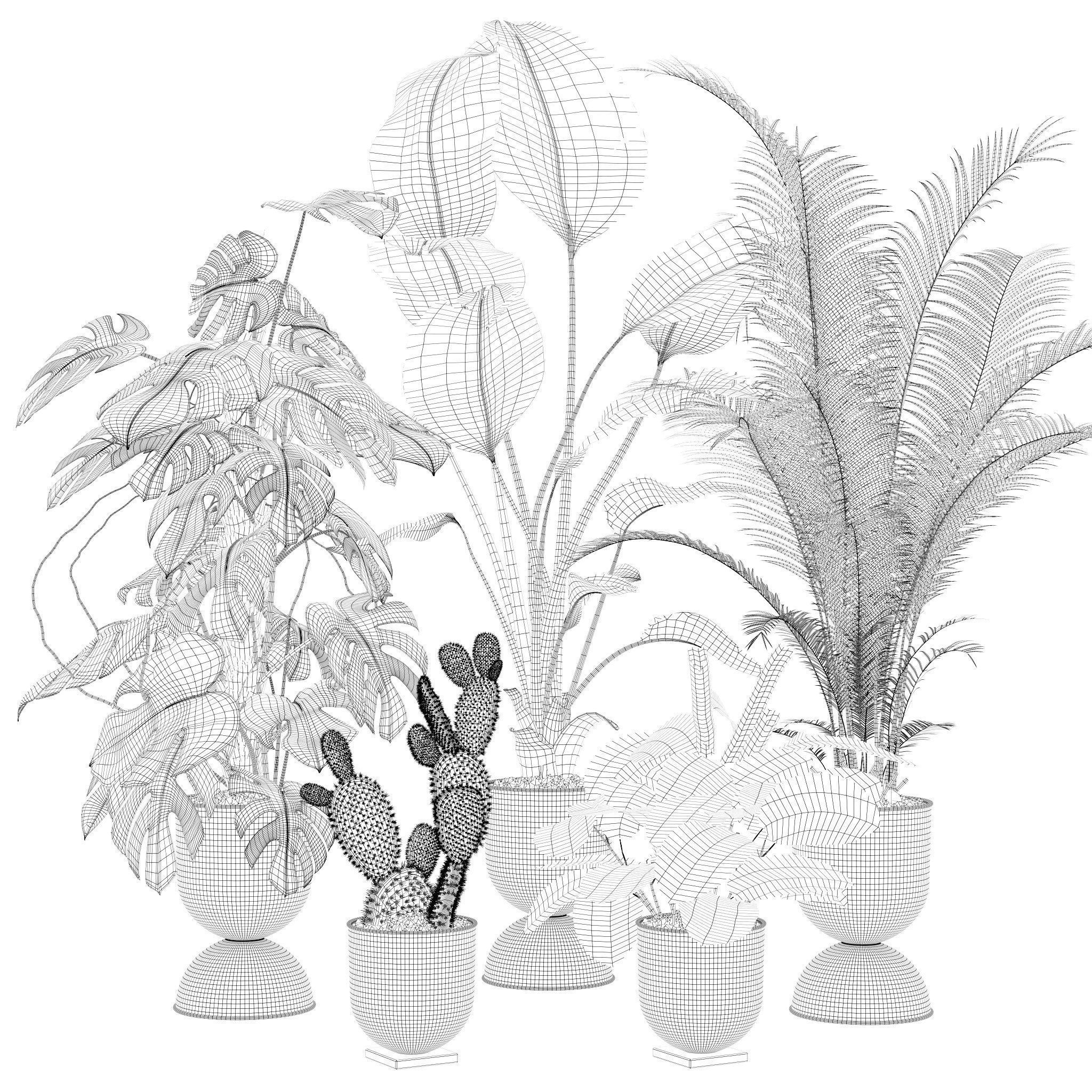 20 Photorealistic Flowers for Interiors - set 118 130 141 143 3D Model Collection_52