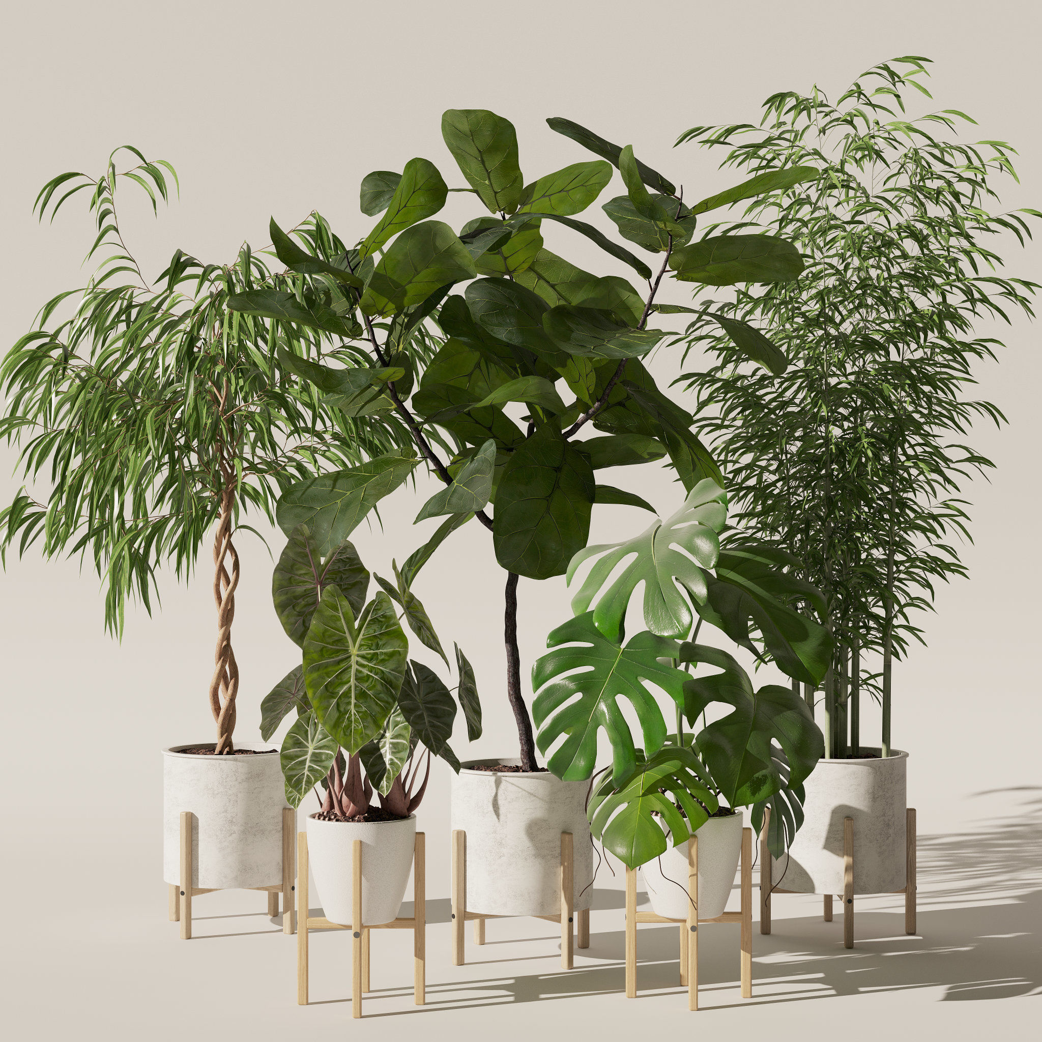 20 Photorealistic Flowers for Interiors - set 118 130 141 143 3D Model Collection_29