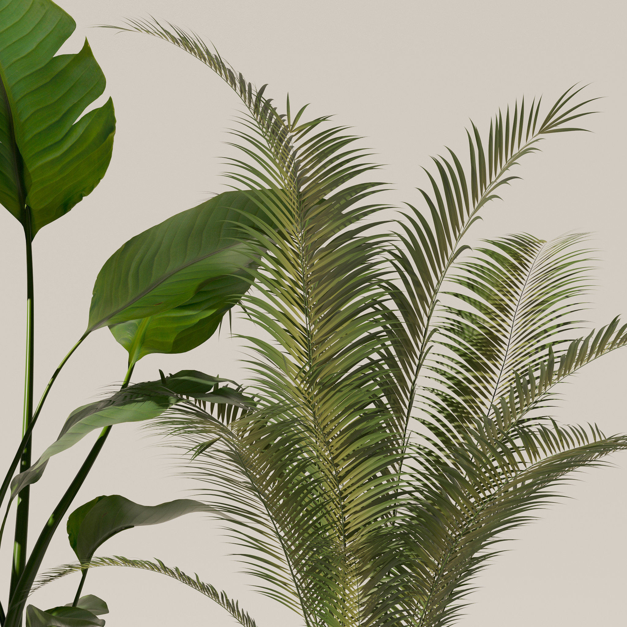 20 Photorealistic Flowers for Interiors - set 118 130 141 143 3D Model Collection_46