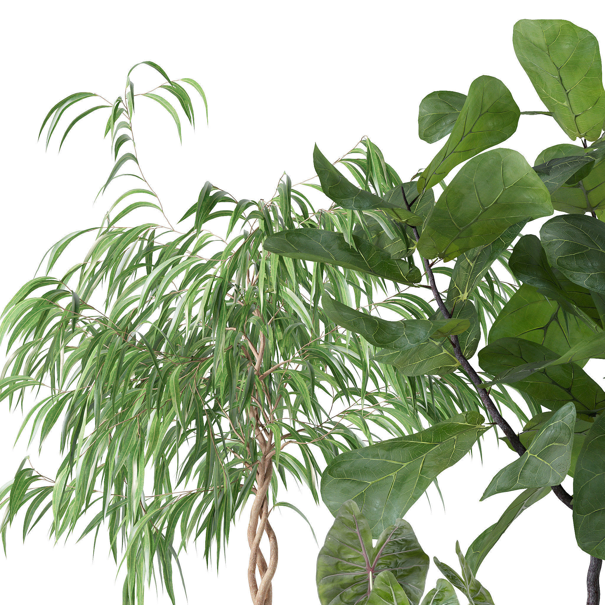 20 Photorealistic Flowers for Interiors - set 118 130 141 143 3D Model Collection_28