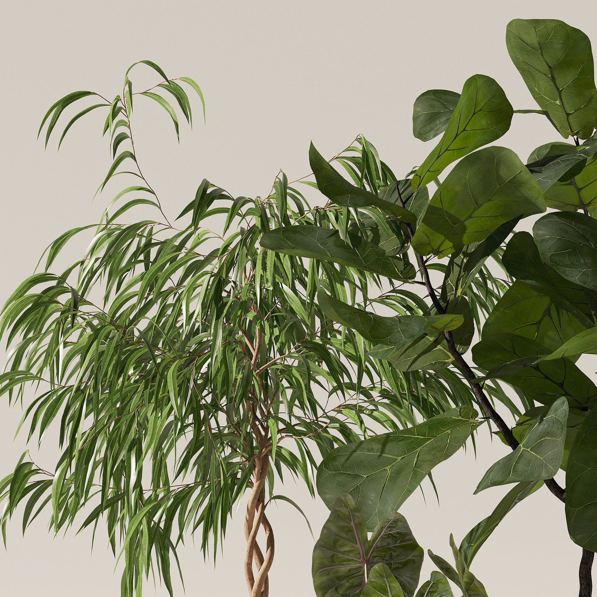 20 Photorealistic Flowers for Interiors - set 118 130 141 143 3D Model Collection_32