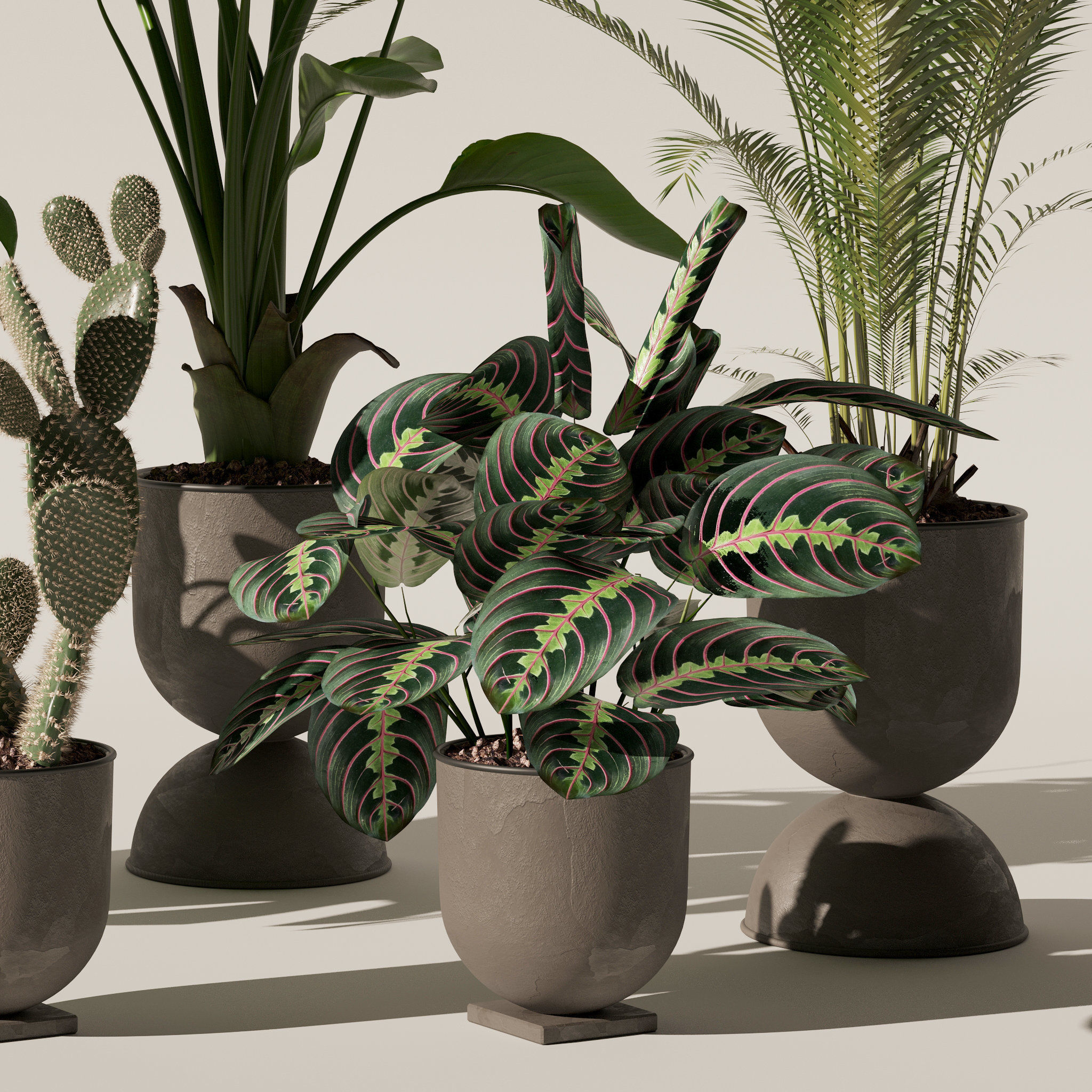 20 Photorealistic Flowers for Interiors - set 118 130 141 143 3D Model Collection_49