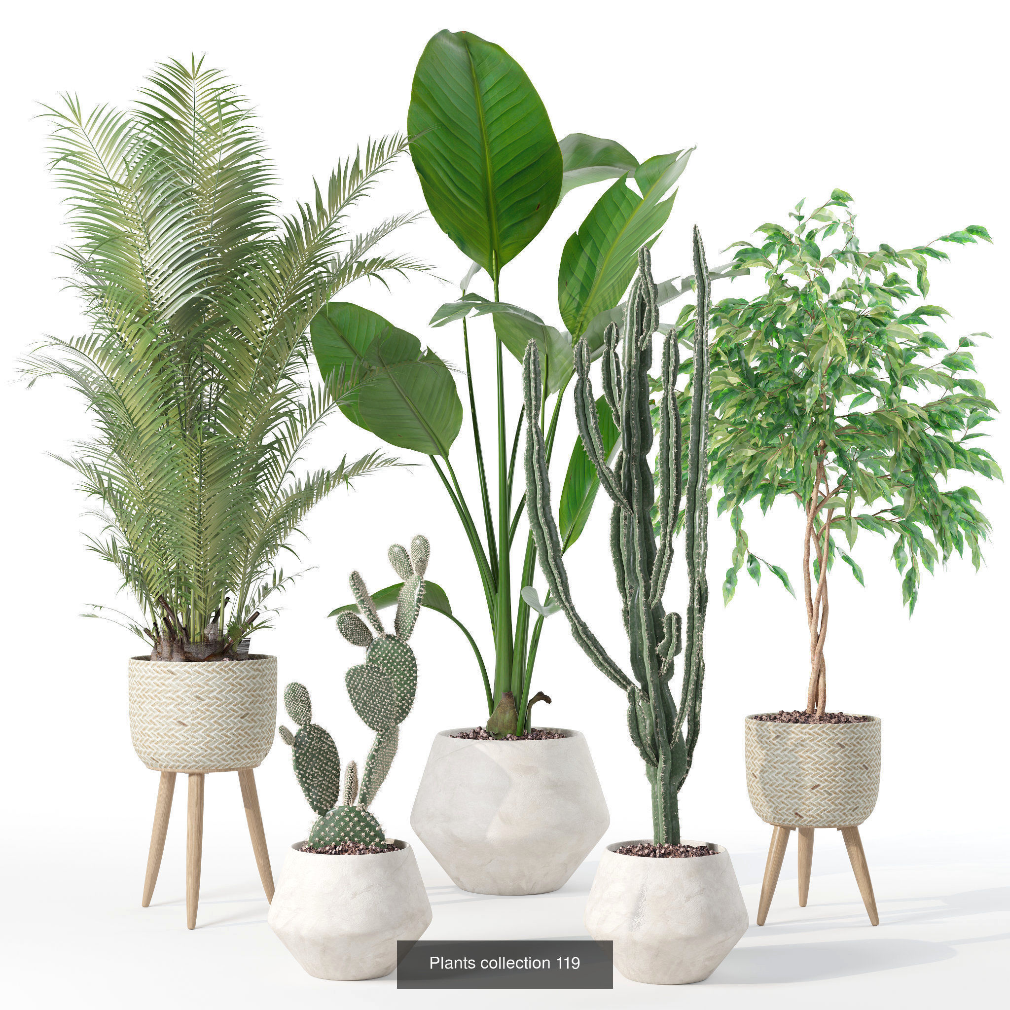 20 Photorealistic Flowers for Interiors - set 119 126 132 139 3D Model Collection_1