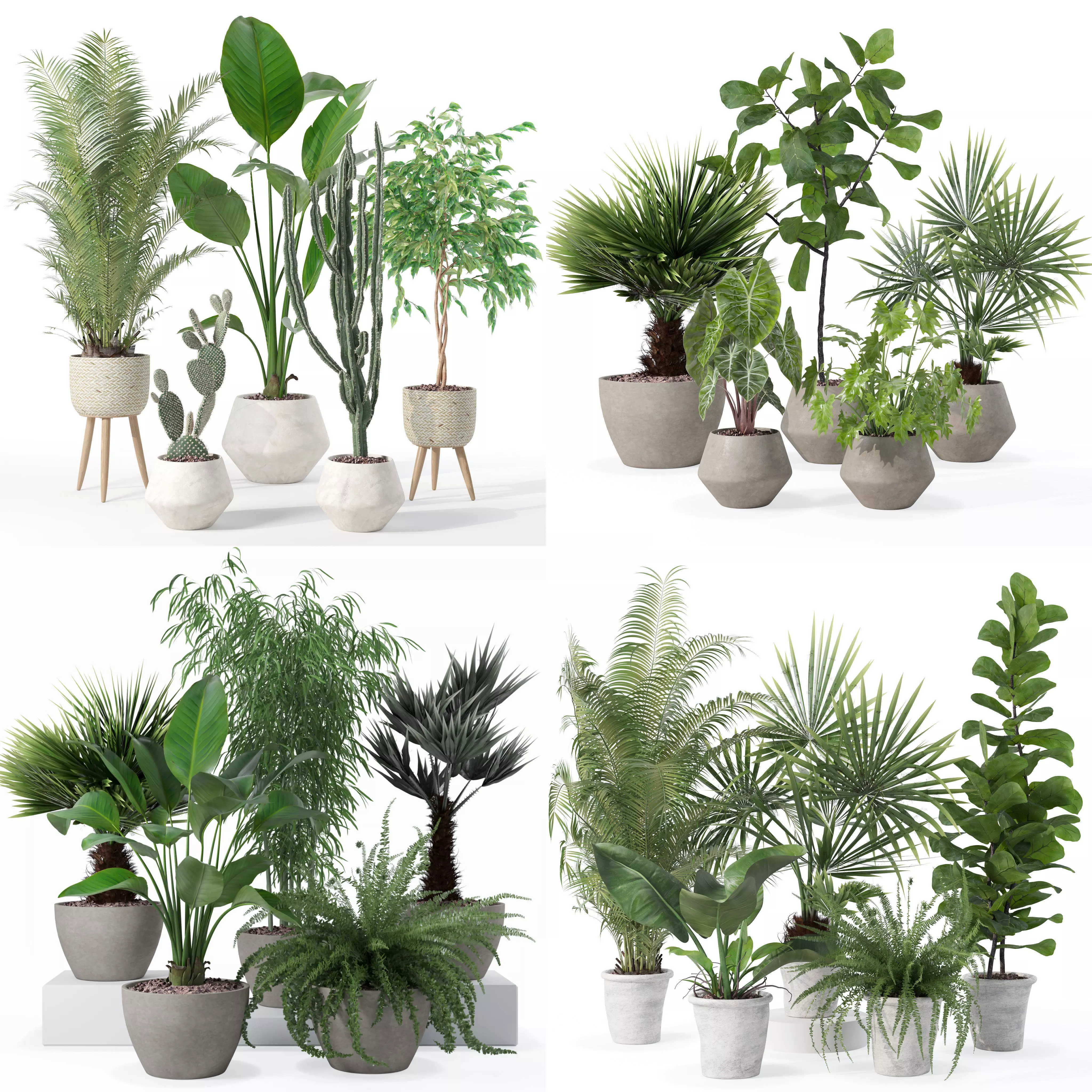 20 Photorealistic Flowers for Interiors - set 119 126 132 139 3D Model Collection_0