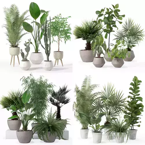 20 Photorealistic Flowers for Interiors - set 119 126 132 139 3D Model Collection
