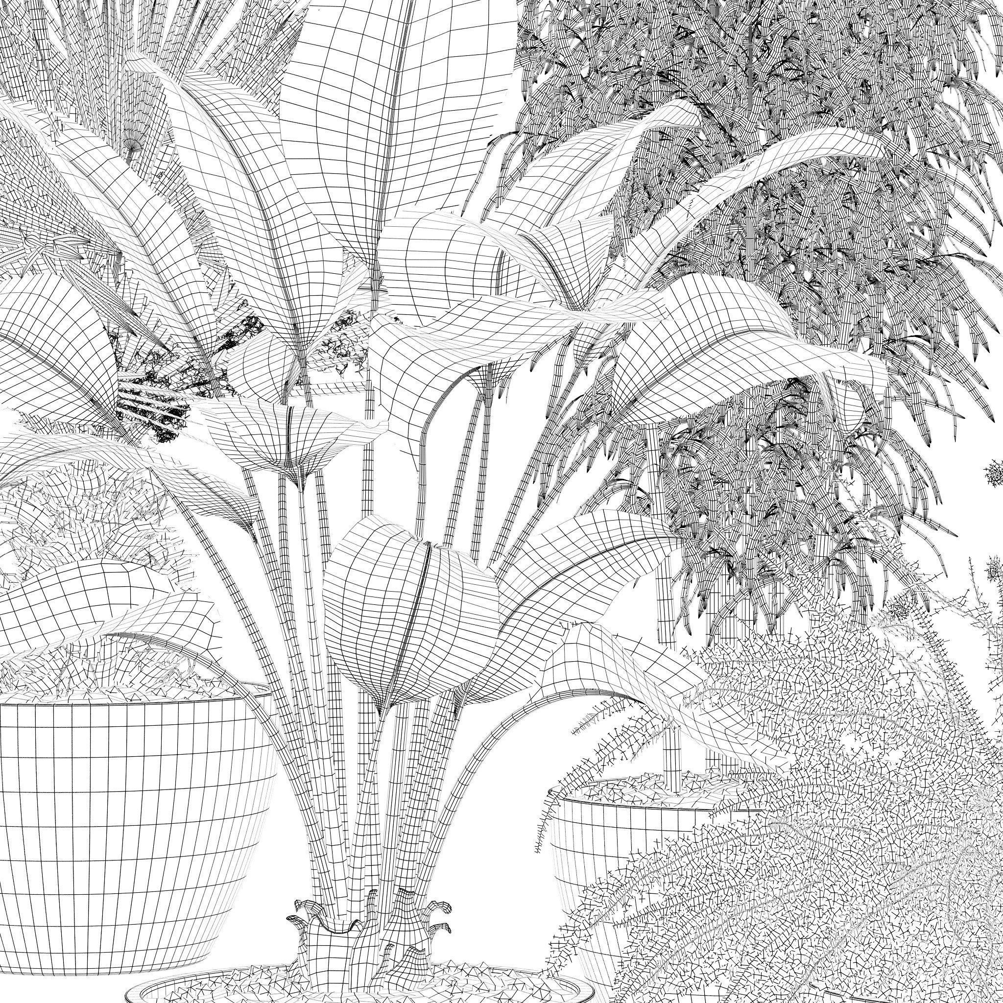 20 Photorealistic Flowers for Interiors - set 119 126 132 139 3D Model Collection_33