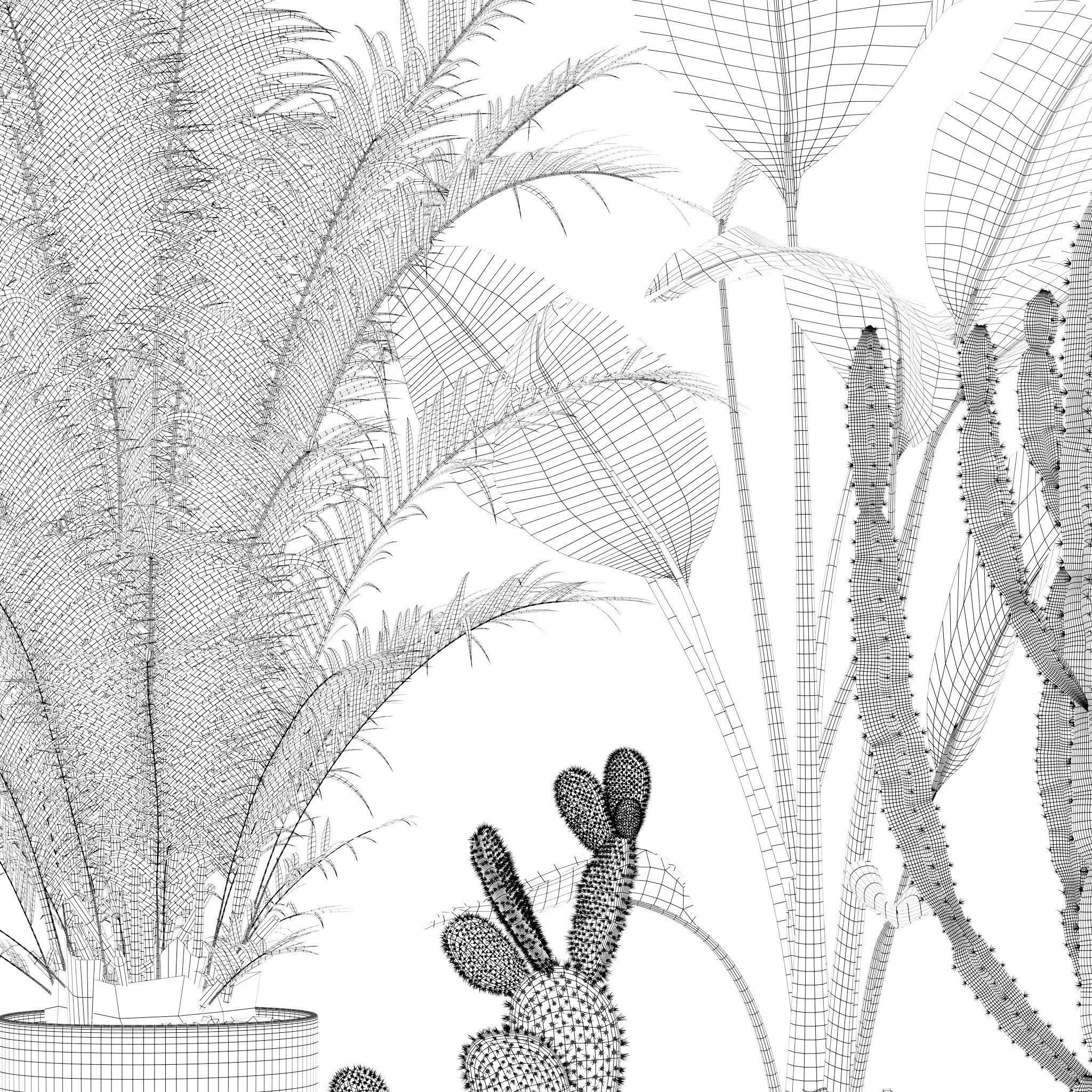 20 Photorealistic Flowers for Interiors - set 119 126 132 139 3D Model Collection_10