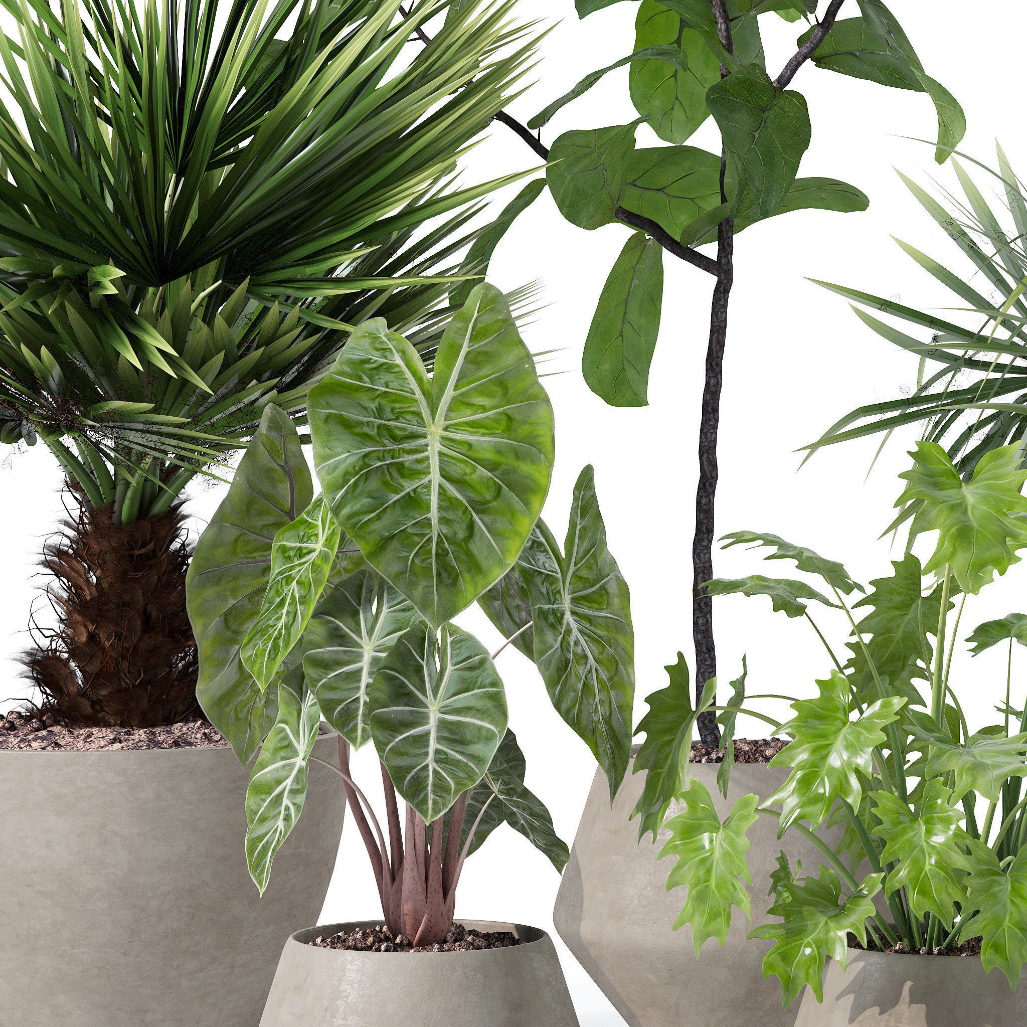 20 Photorealistic Flowers for Interiors - set 119 126 132 139 3D Model Collection_14