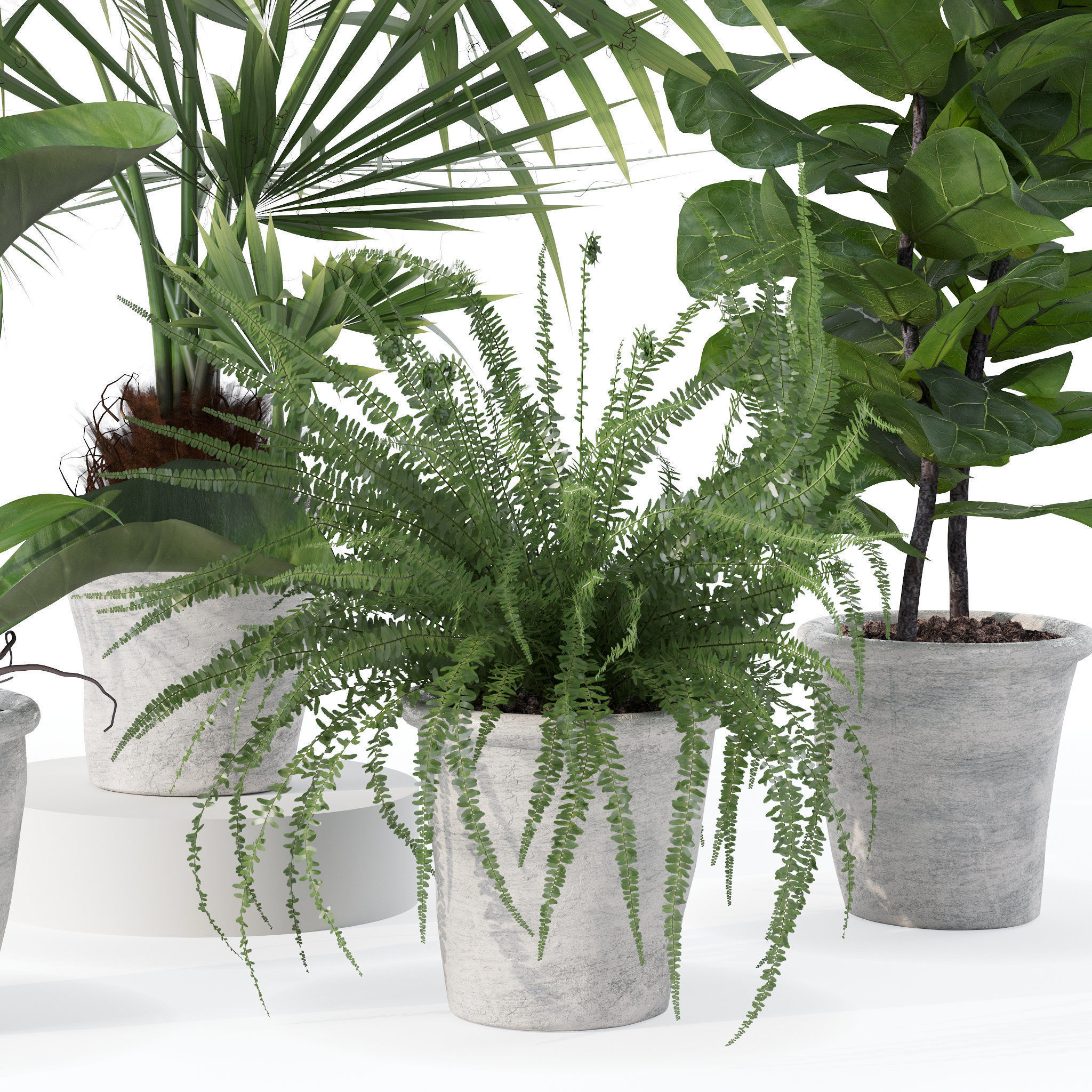 20 Photorealistic Flowers for Interiors - set 119 126 132 139 3D Model Collection_37