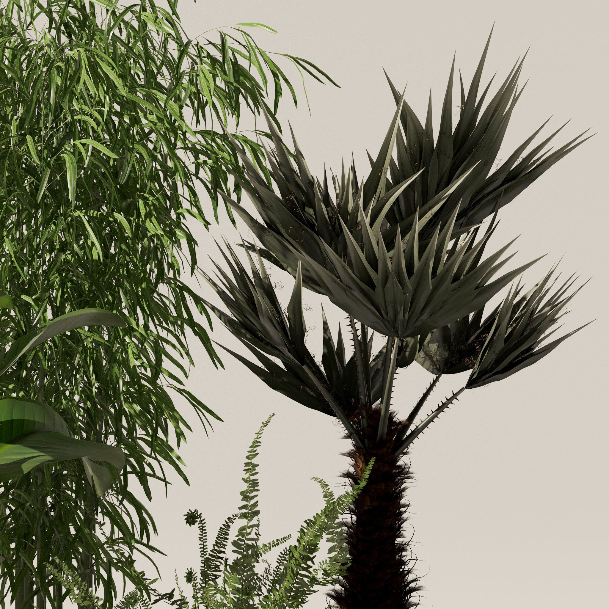 20 Photorealistic Flowers for Interiors - set 119 126 132 139 3D Model Collection_30