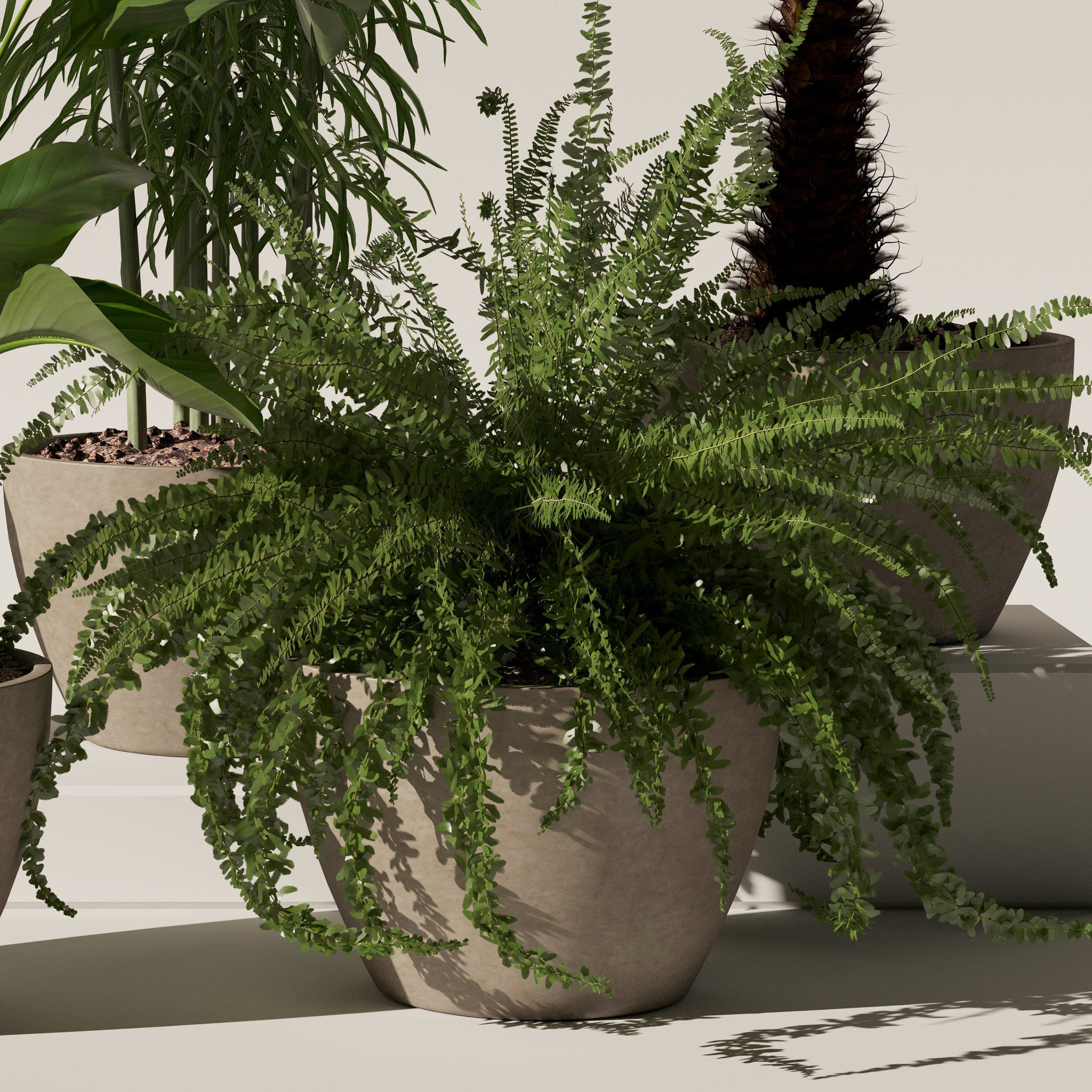 20 Photorealistic Flowers for Interiors - set 119 126 132 139 3D Model Collection_29